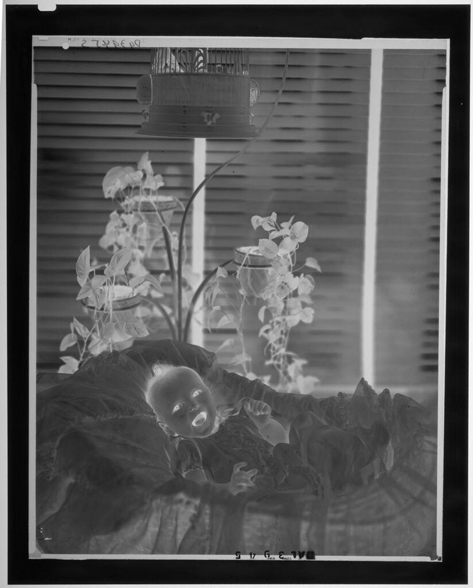 Untitled (baby in bassinet with open mouth, plants and birdcage behind) by Paul Gittings