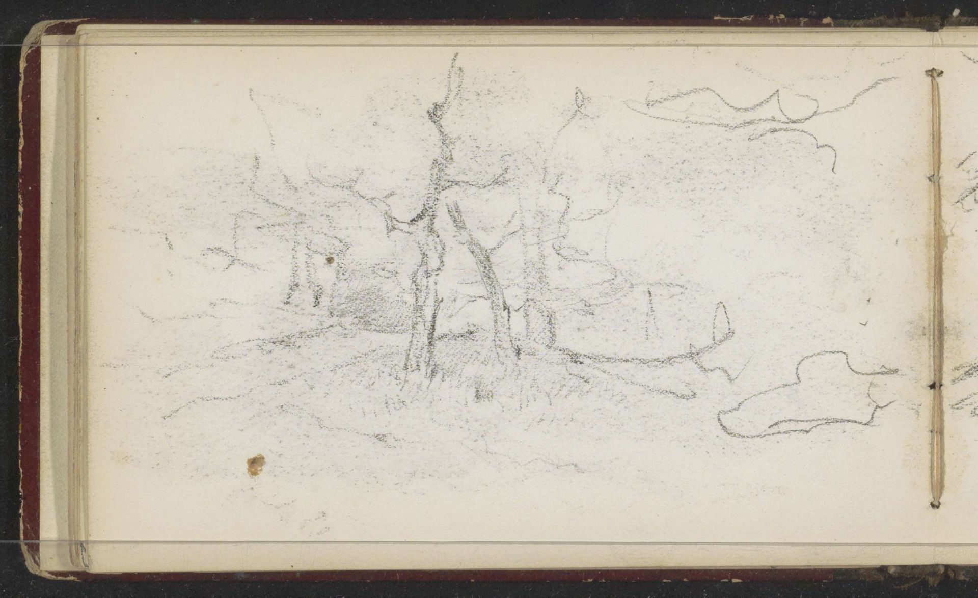 Landschap met bomen by Willem Cornelis Rip