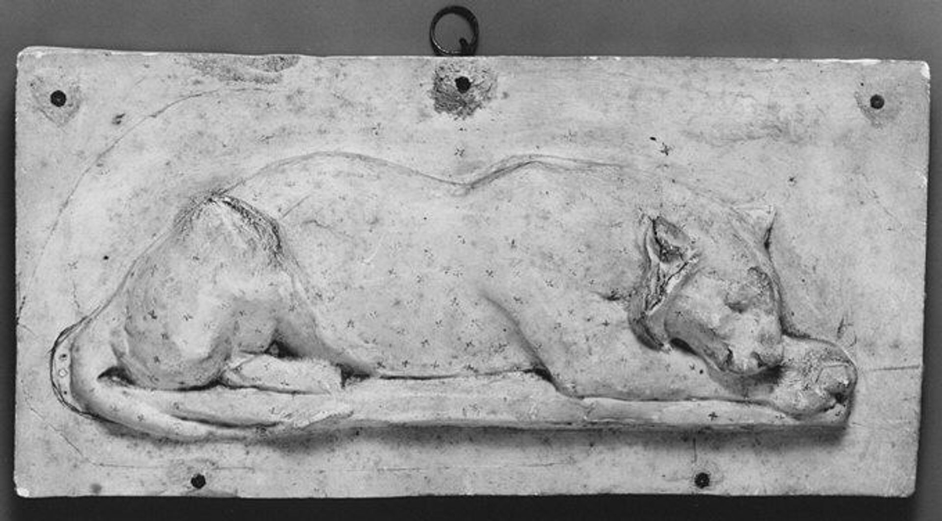 Recumbent Lioness by Victor Peter
