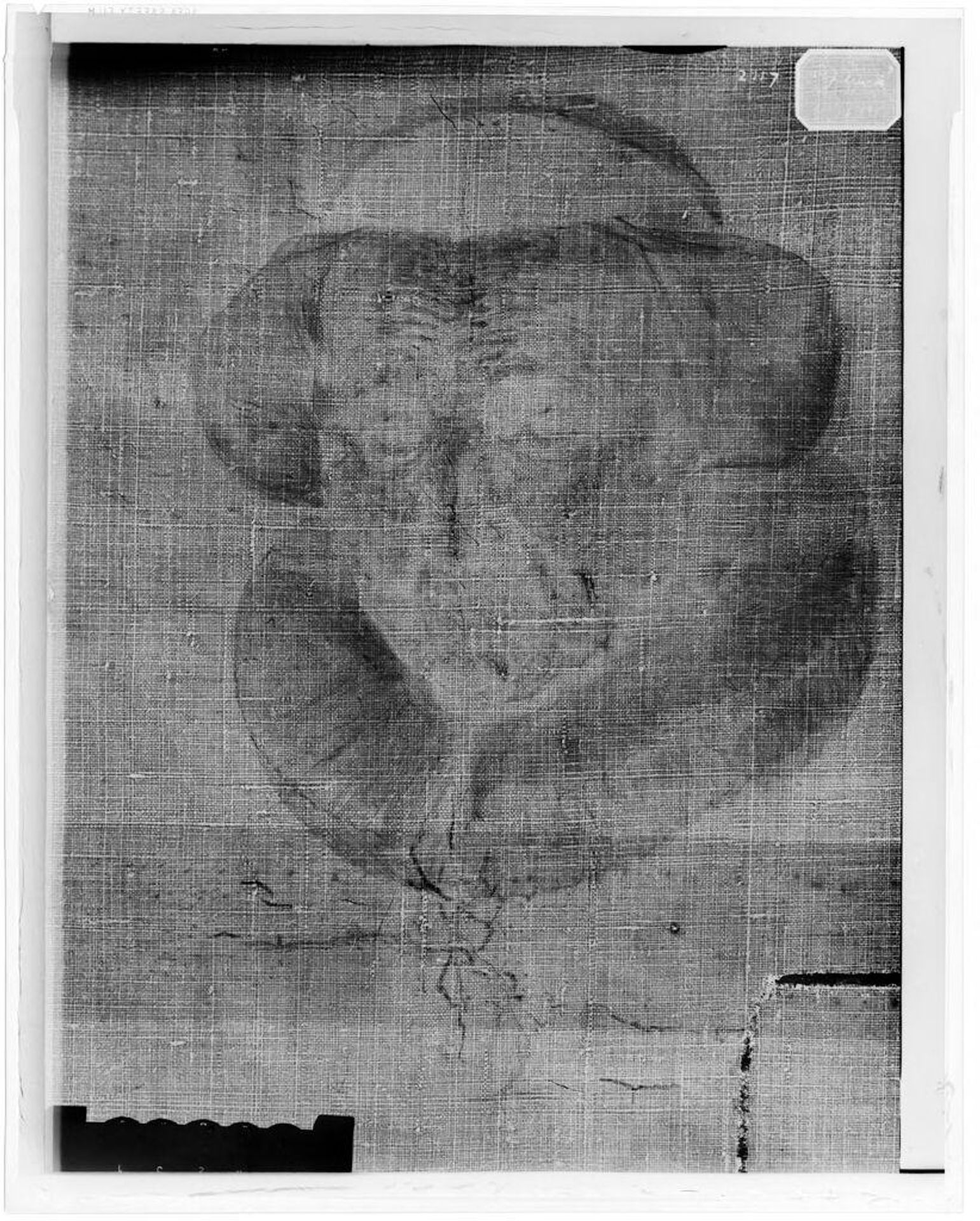 X-radiograph(s) of "Old Woman" by Artist of original: Jacob Adriaensz. Backer
