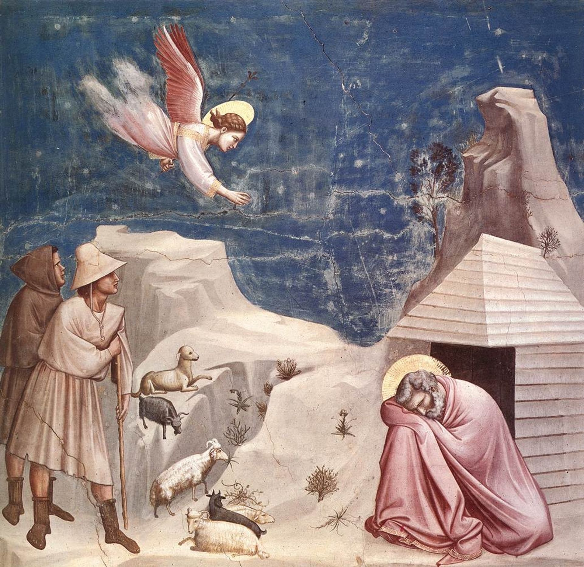 The Dream of Joachim by Giotto