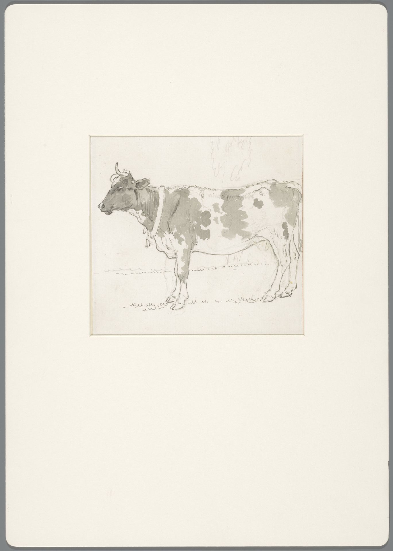 Staande koe, met een klok om de hals by David Alphonse de Sandoz-Rollin