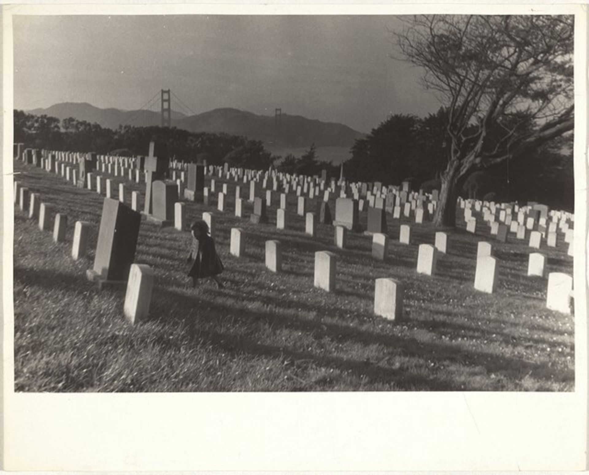 Cemetery--San Francisco by Robert Frank