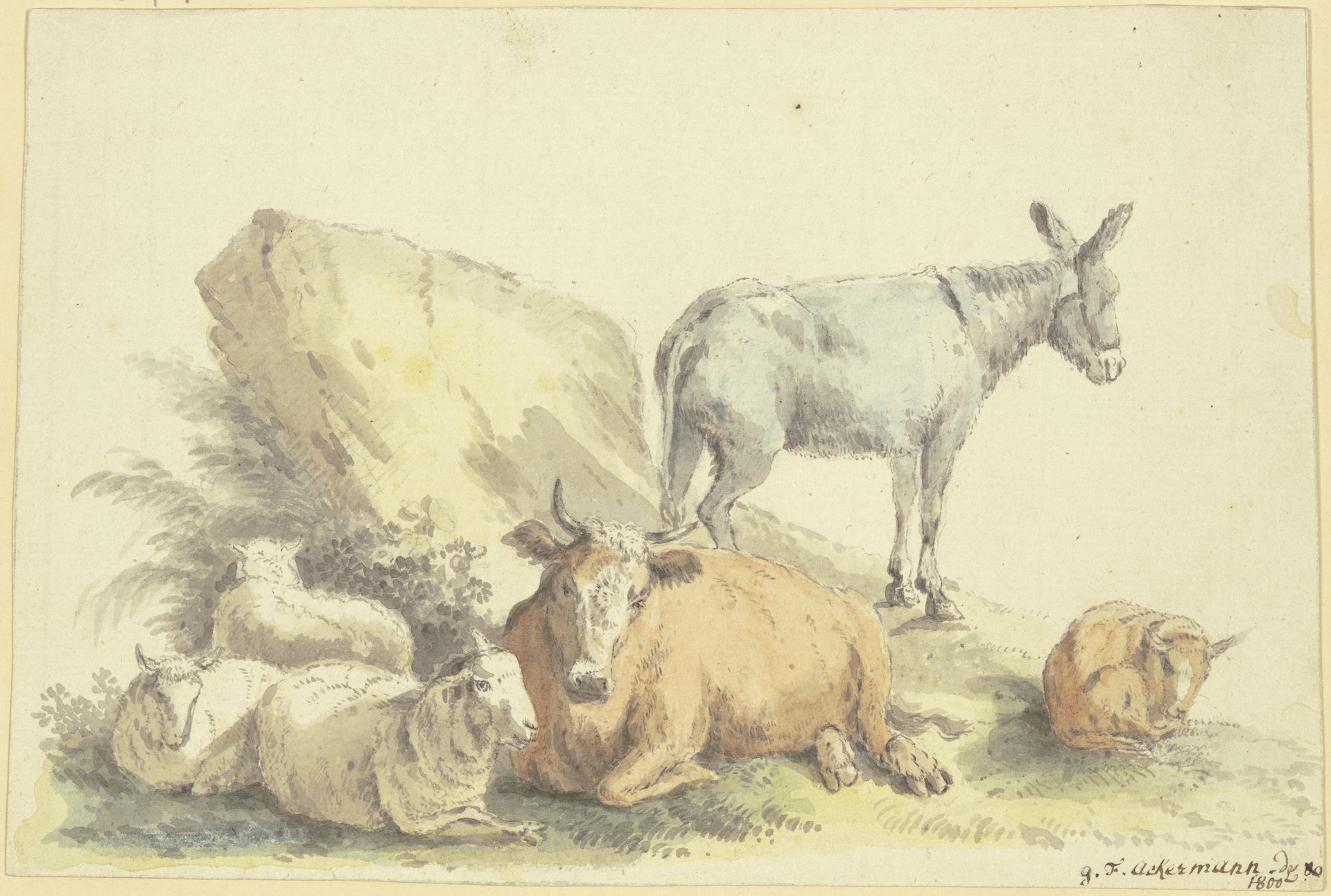Eine Kuh, drei Schafe, ein Esel und ein Kälbchen by Georg Friedrich Ackermann