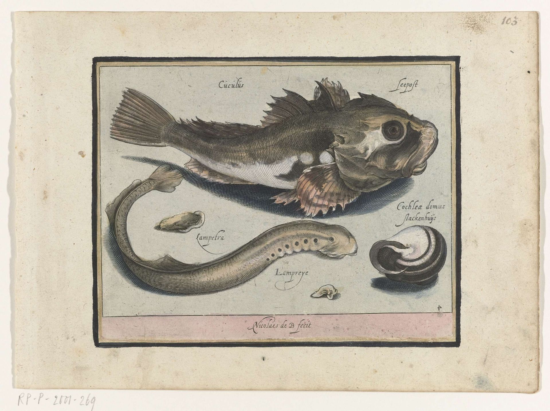 Poon, prik en slakkehuis by Nicolaes de Bruyn