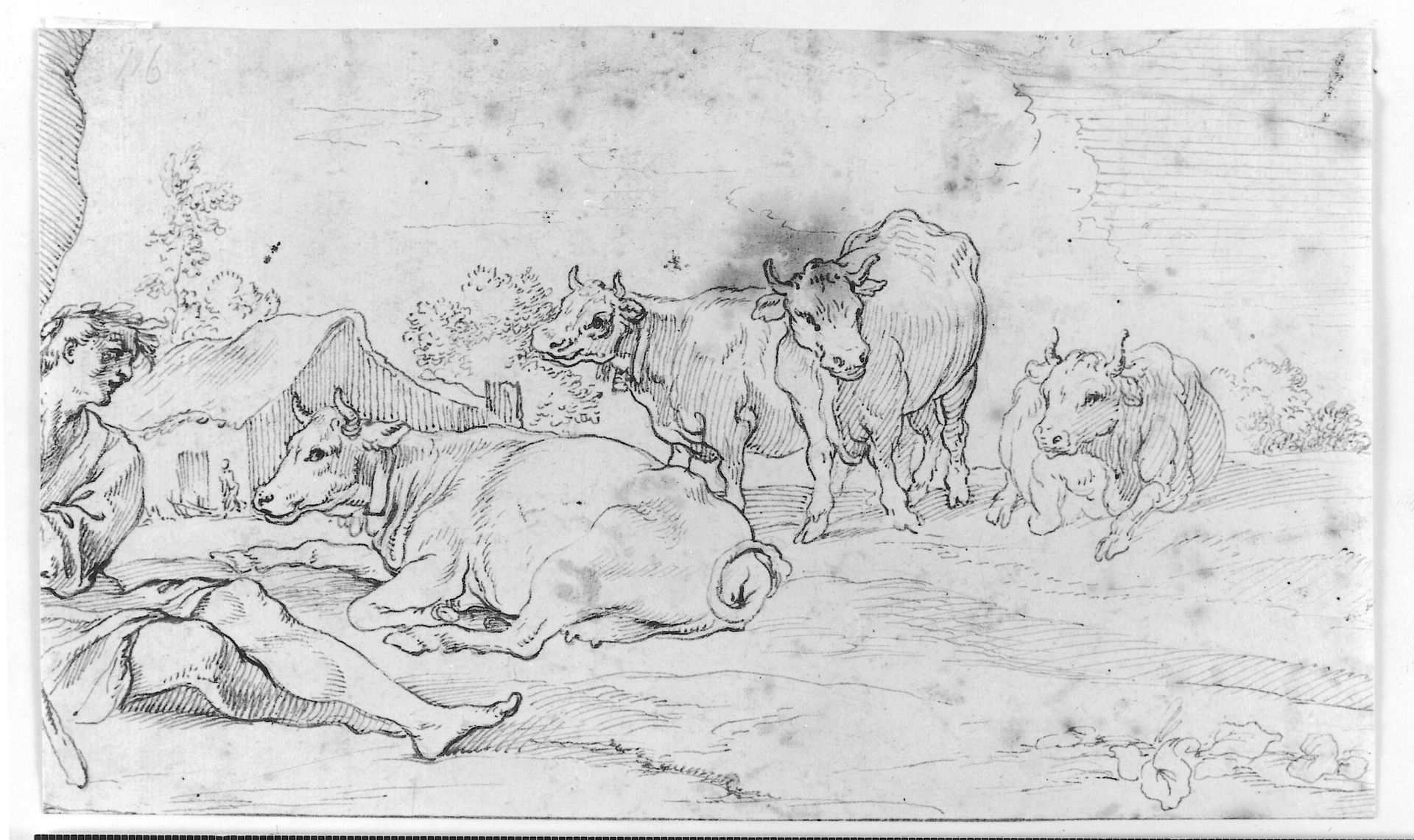 Apollo tending his herd by Giuseppe Agellio