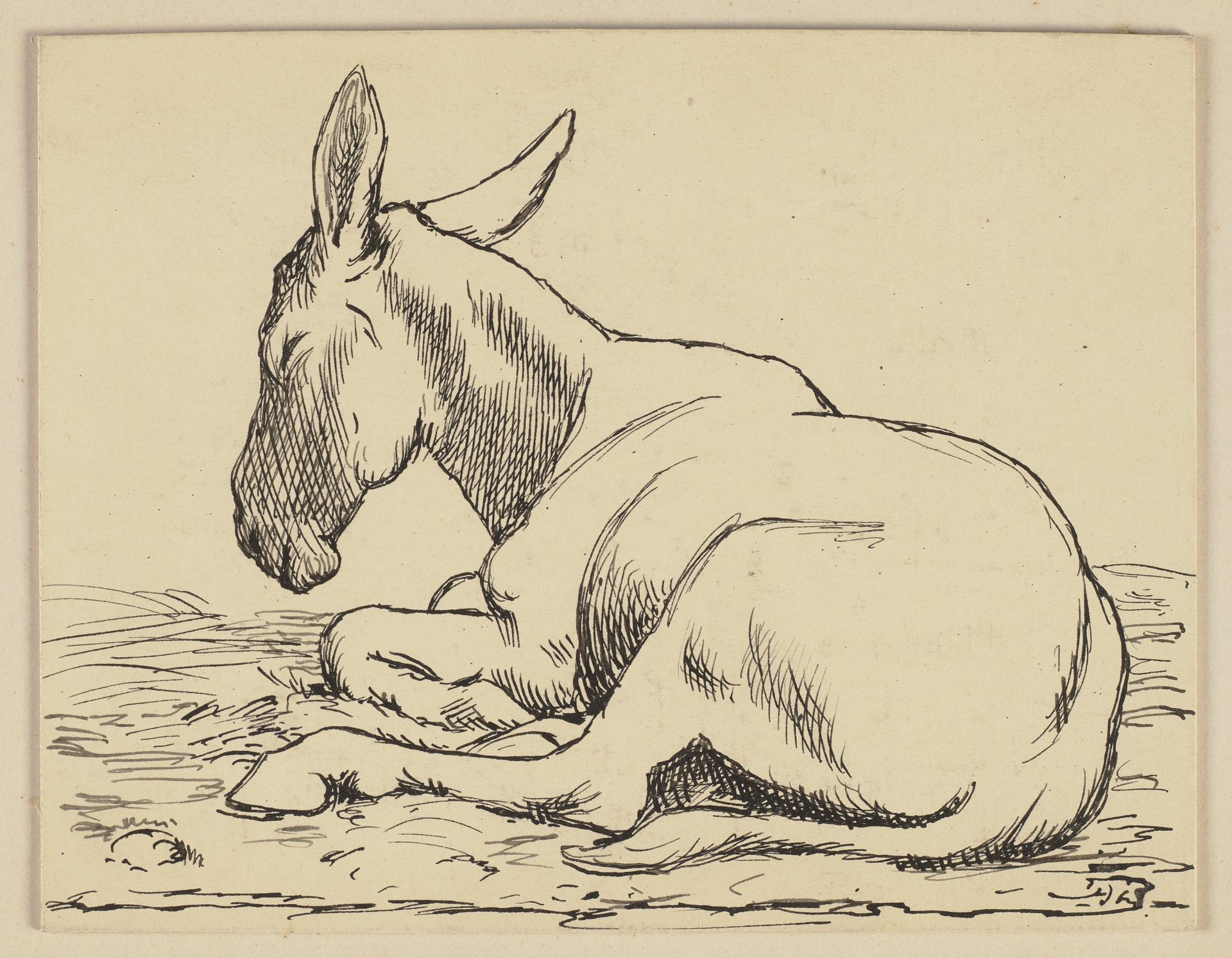Drawing for the primer_ Donkey by Hans Thoma