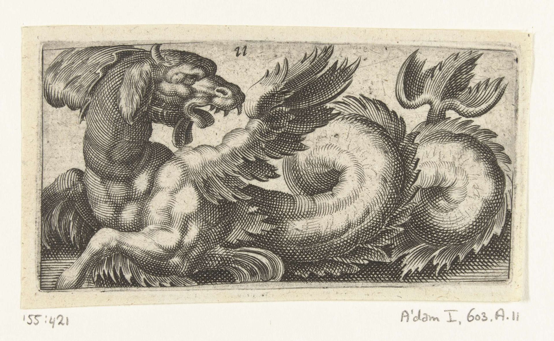 Gevleugelde zeehond die achterom kijkt by Adam Fuchs