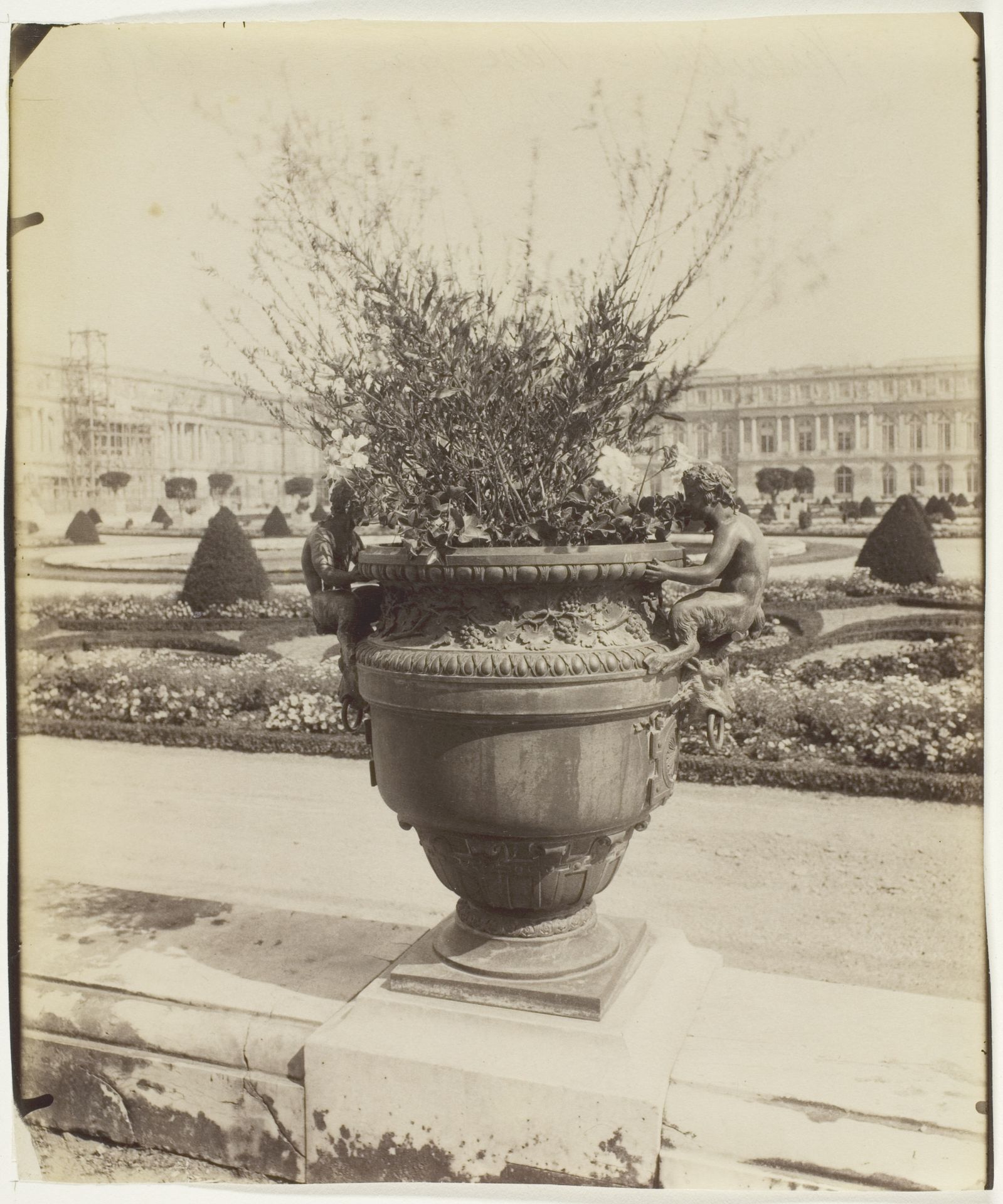 Versailles, Vase par Ballin by Eugène Atget
