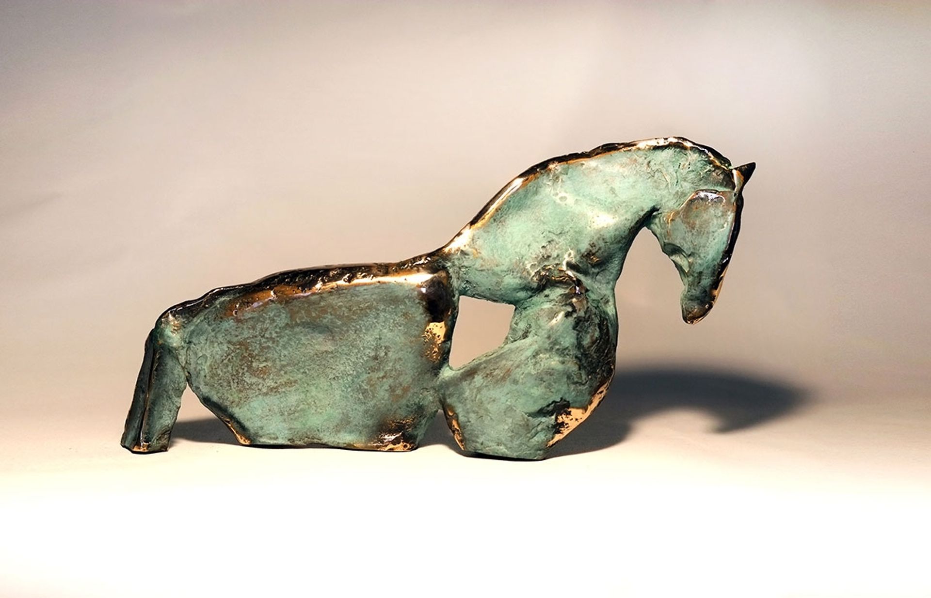 Horse 1 by Amin Aghaei