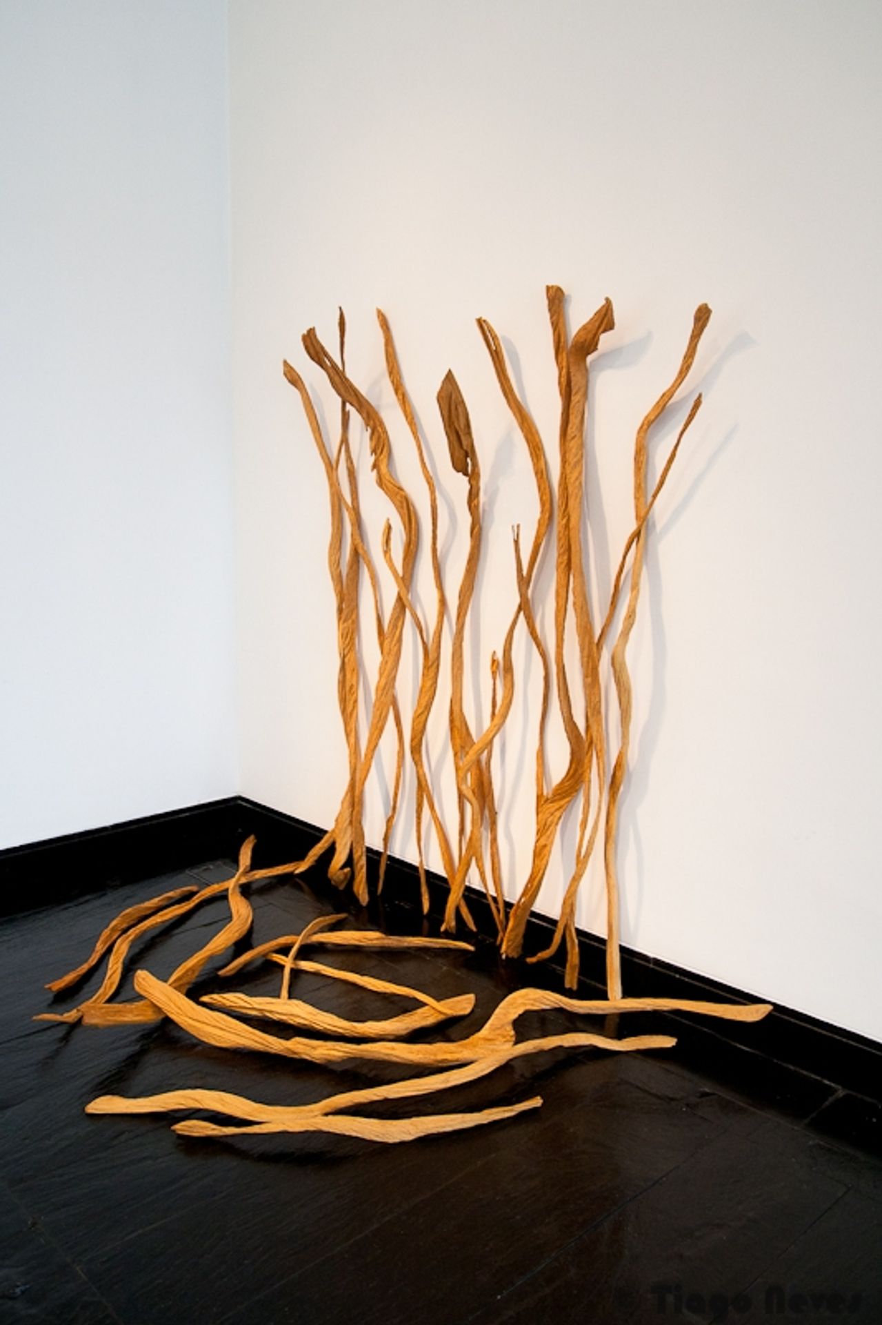 Evocações d'água by Alberto Carneiro