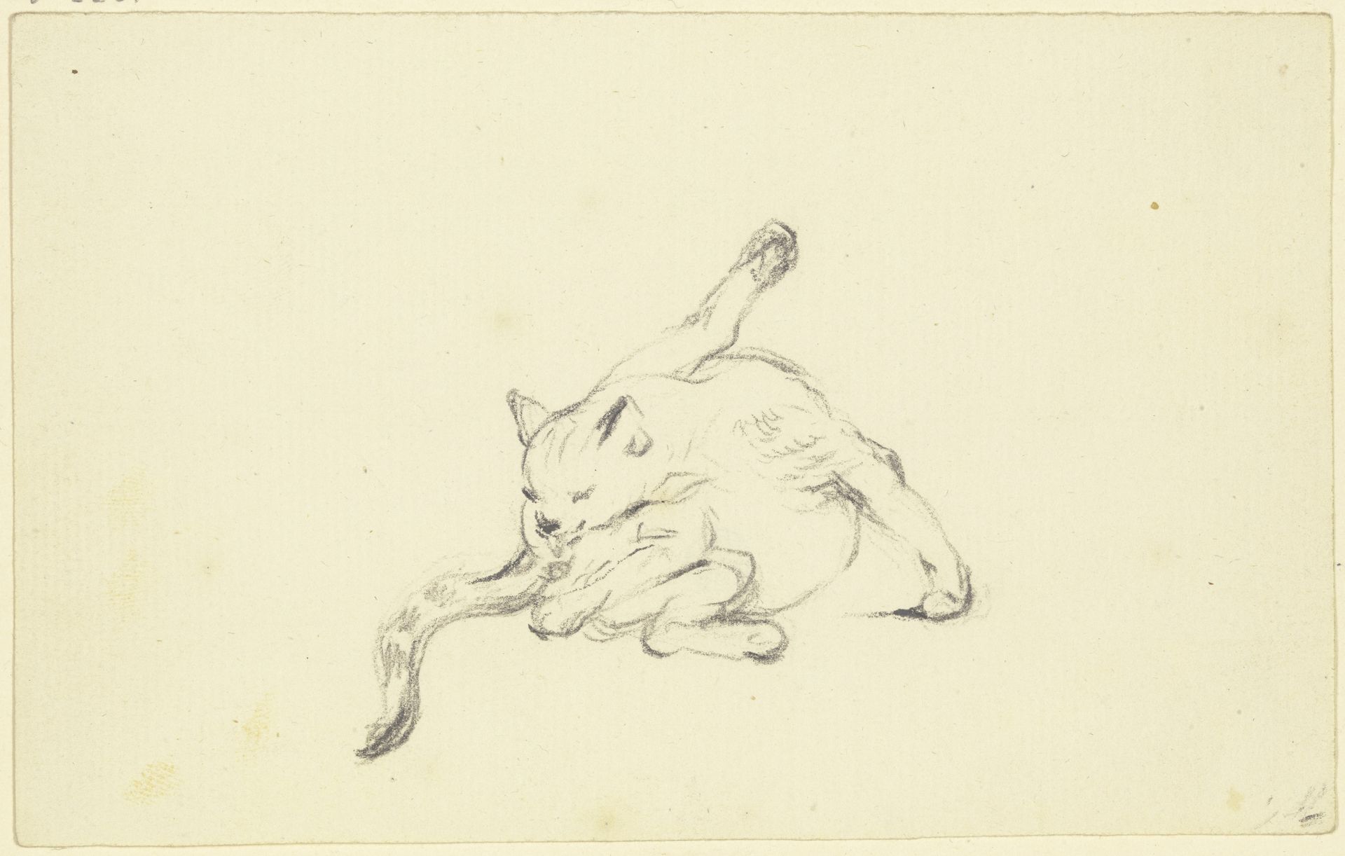 Grooming cat by Friedrich Wilhelm Hirt