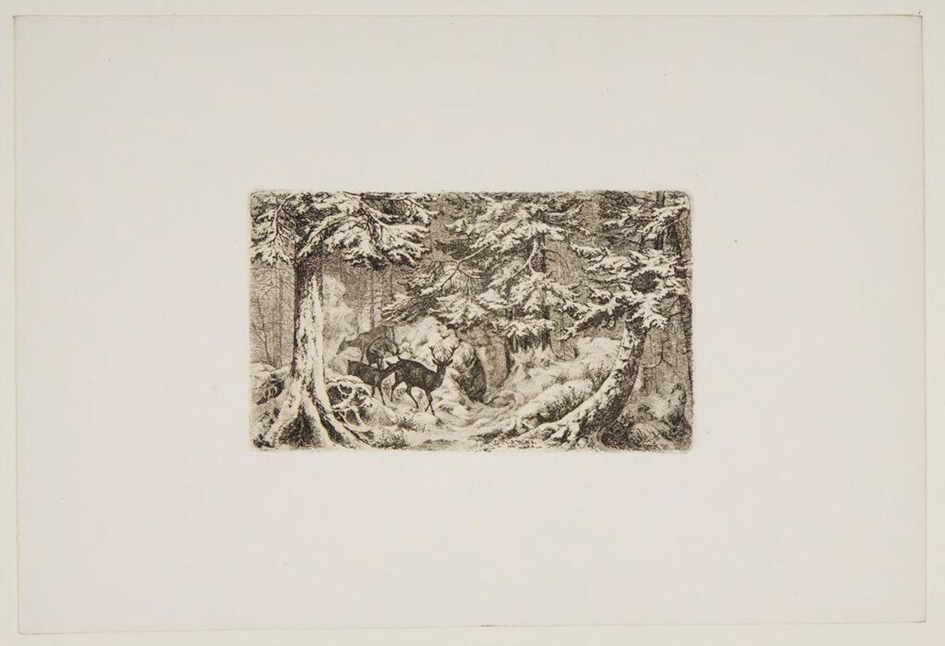 Deer in a Forest by Friedrich Anton Wolff