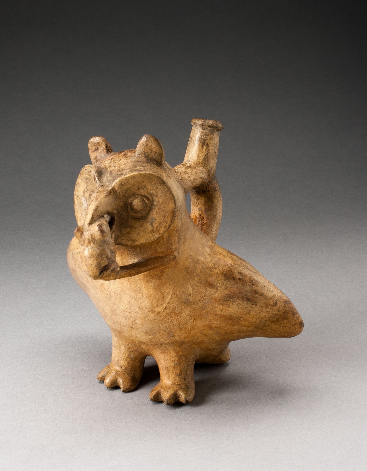 Handle Spout Vessel in Form of an Owl Eating a Mouse by Moche