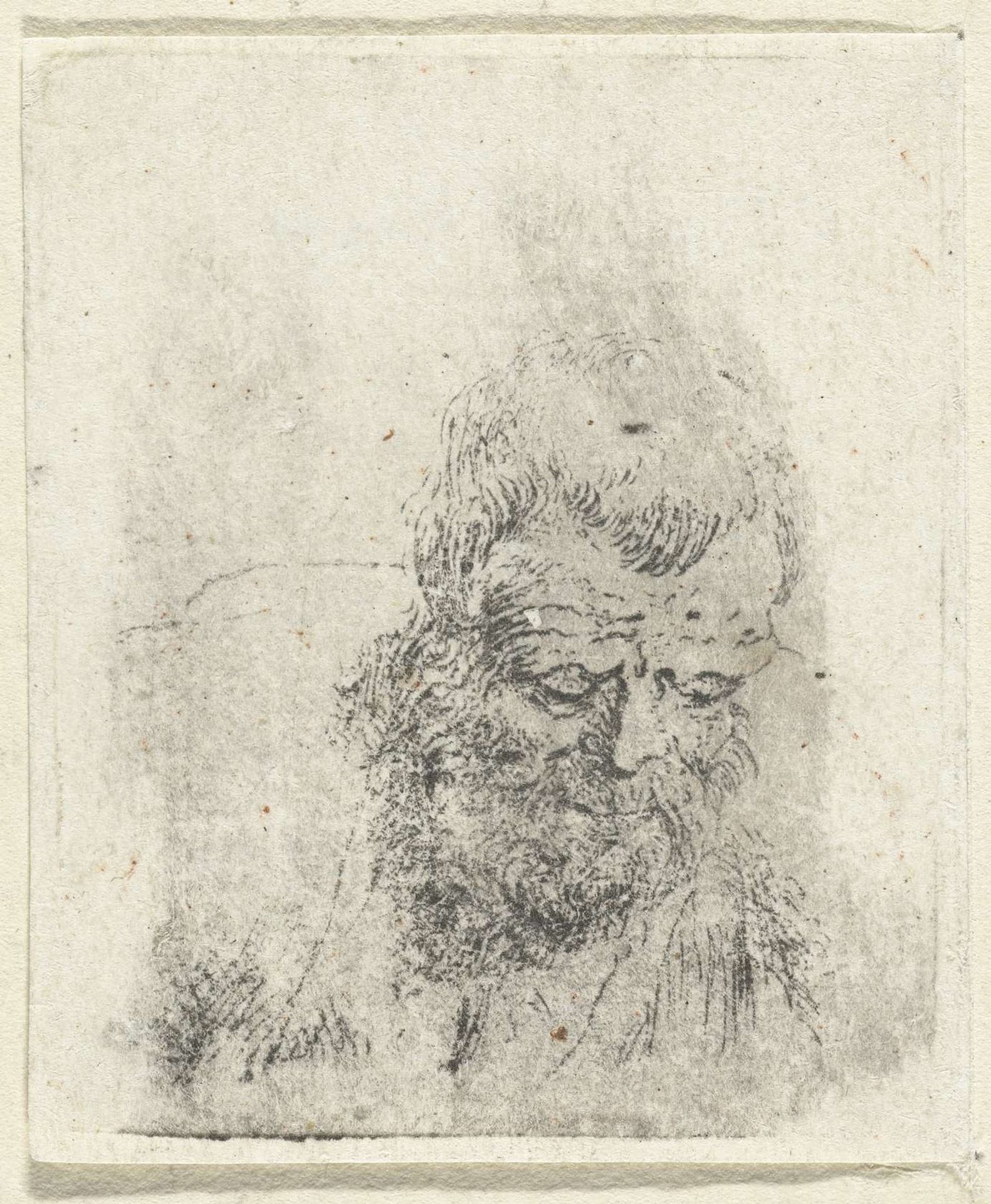 Hoofd van oude man met baard by Dirck de Bray