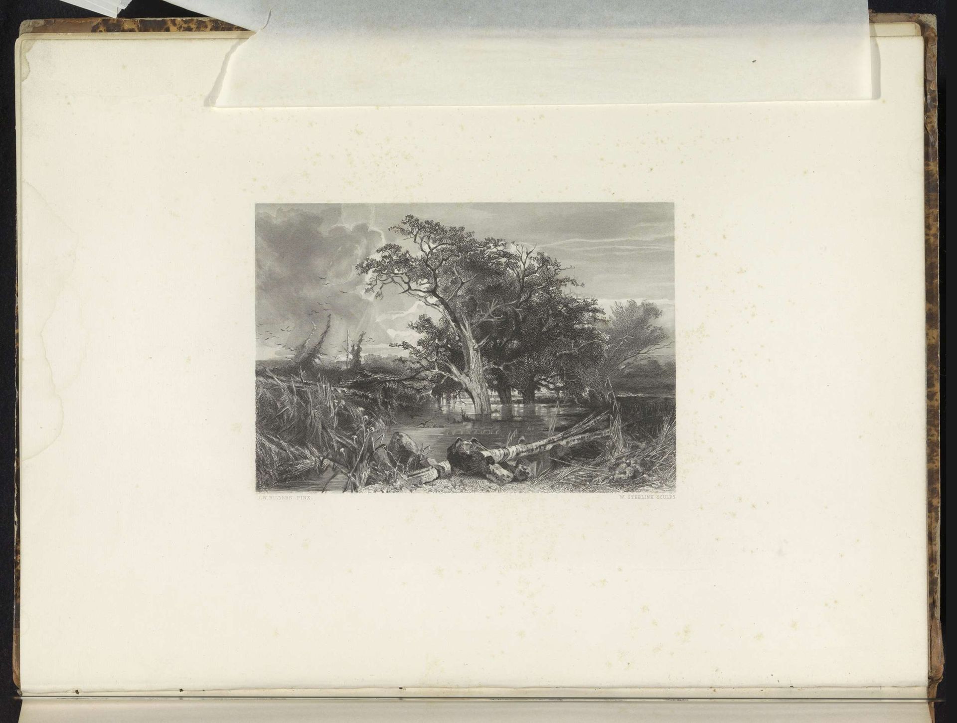 Nederlands woeste toestand, tijdens de prehistorie by Willem (I) Steelink