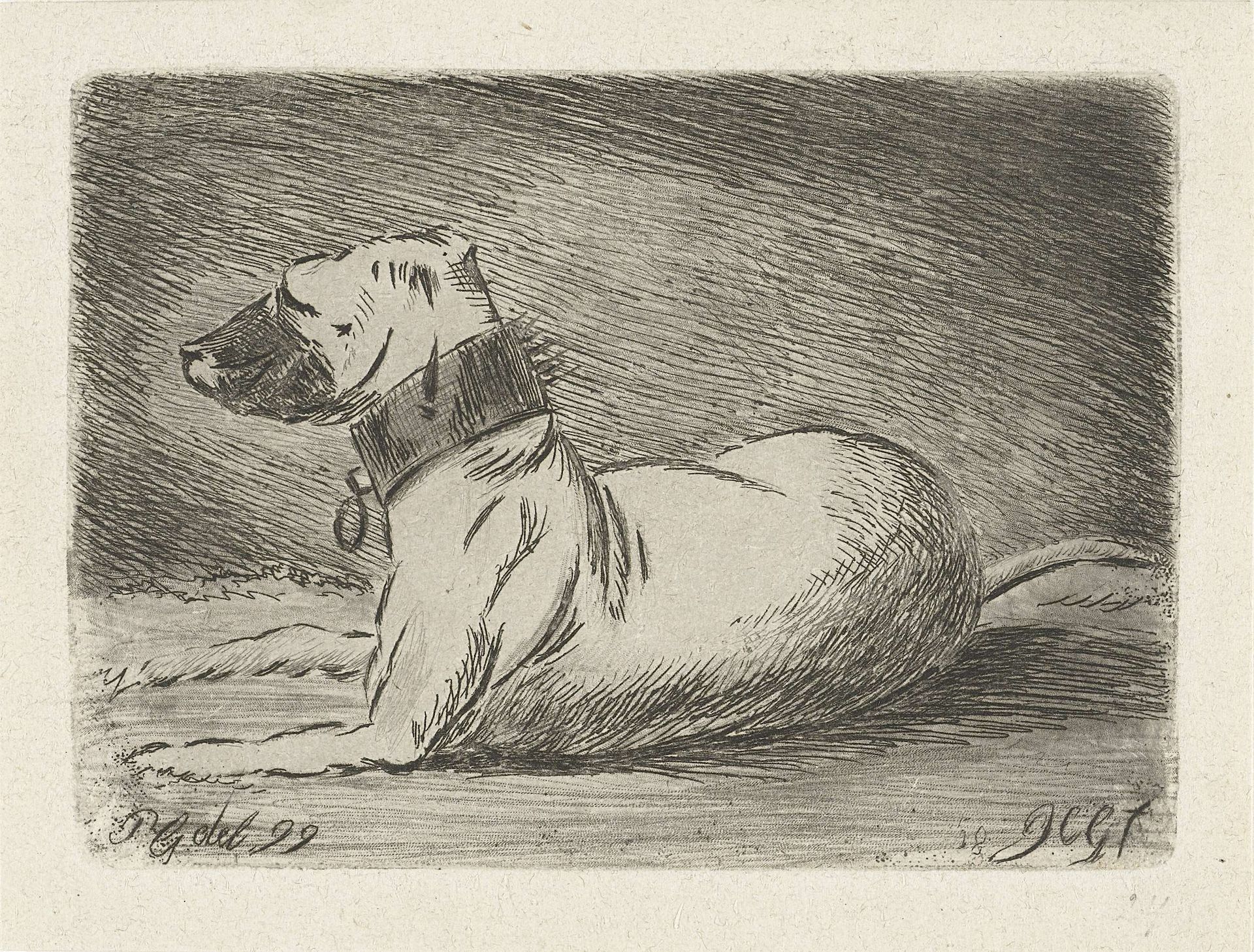 Liggende hond met halsband by Jacobus Cornelis Gaal