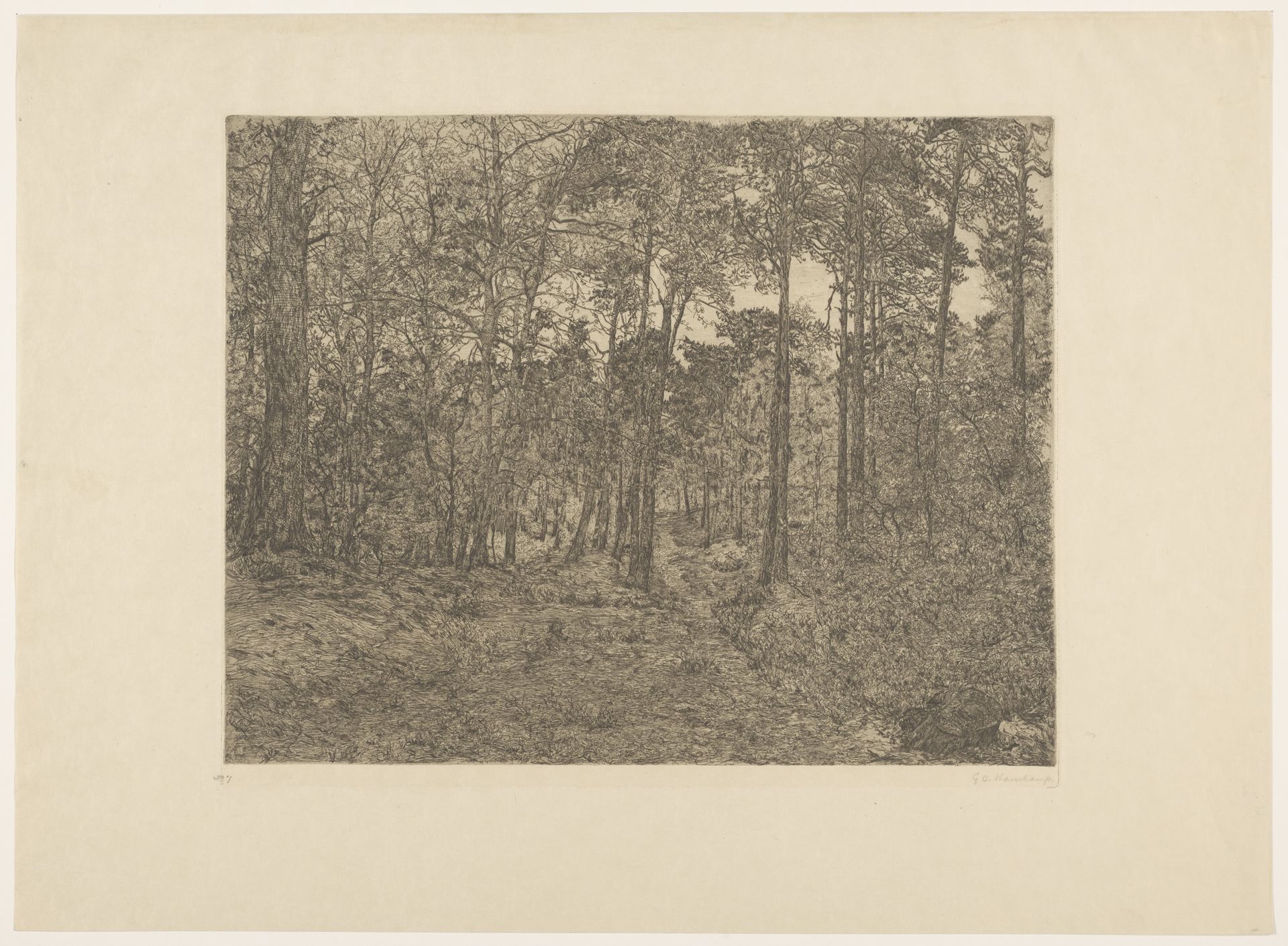 Bosgezicht by Gerrit Haverkamp