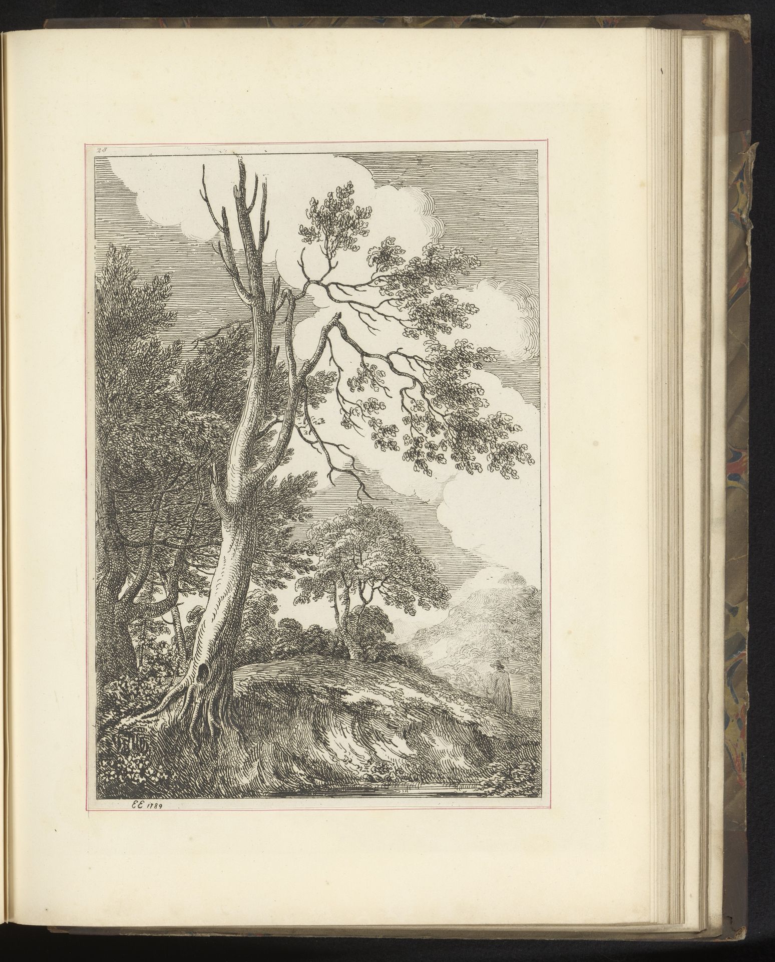 Landschap met bomen by Edward Edwards