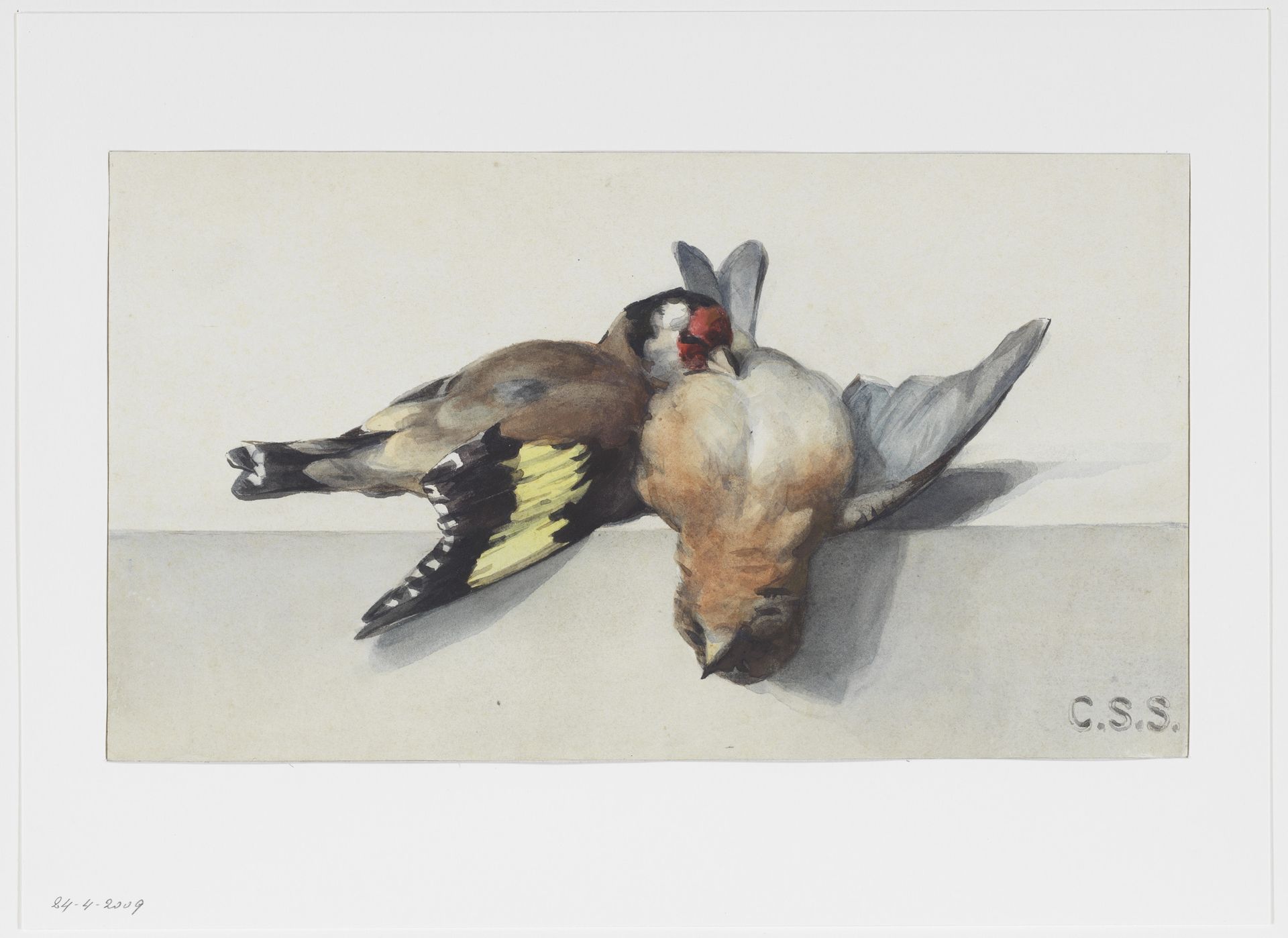 Stilleven met twee dode vogels by Cornelis Samuel Stortenbeker