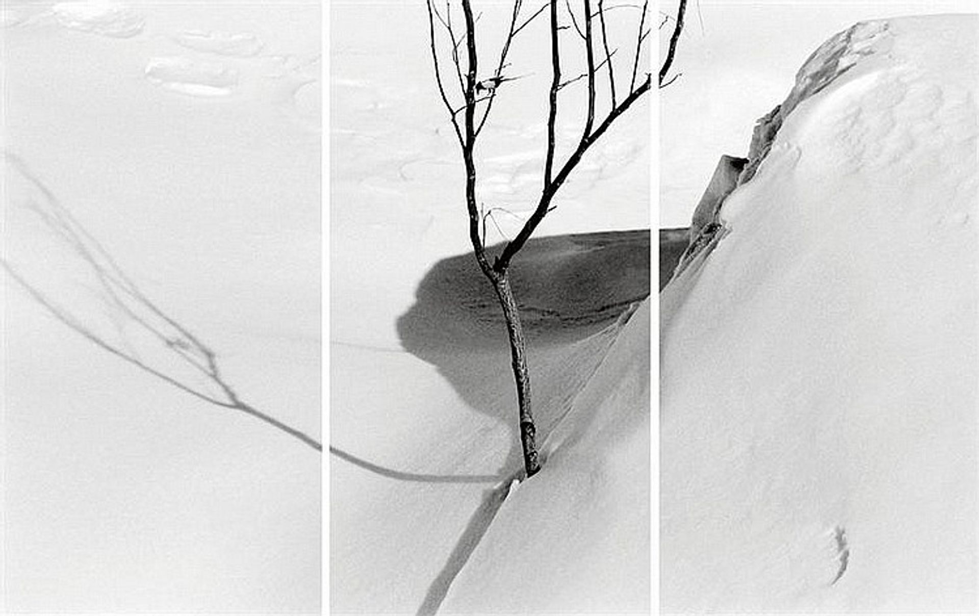 Snow White by Abbas Kiarostami