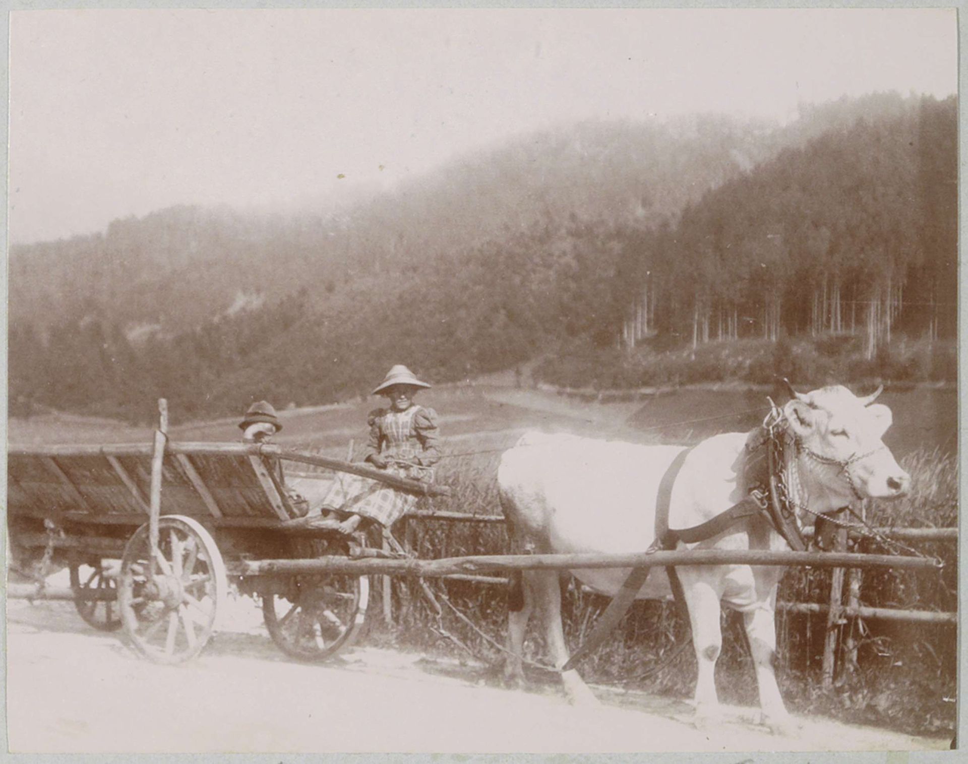 Ossenwagen in het dal van de Inn by Delizy