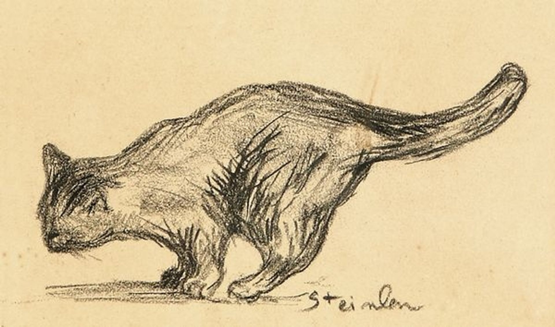 The cat by Théophile Alexandre Steinlen