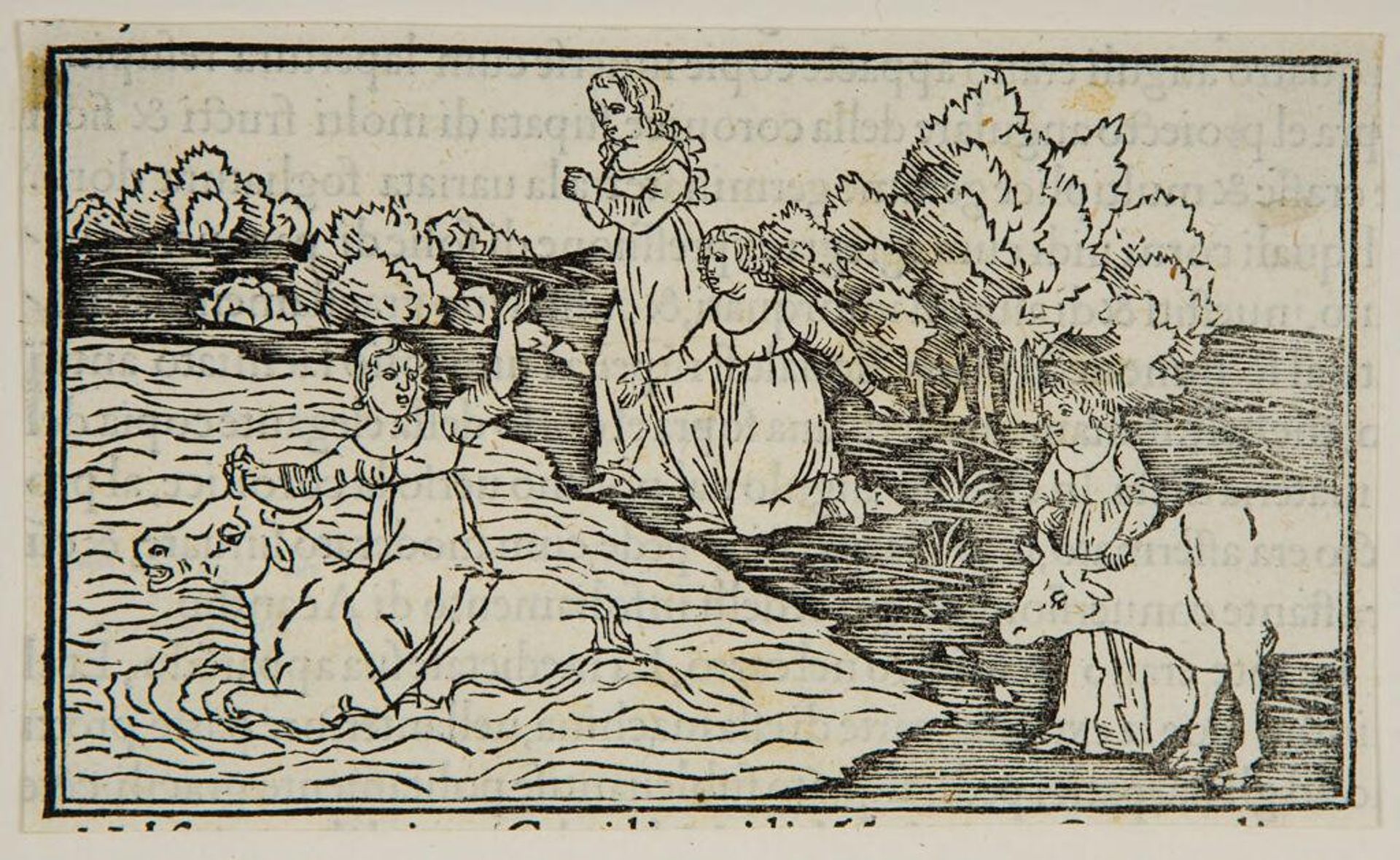 Relief on the triumphal car. The Rape of Europa. (fol. k iiii recto) by Anonymous