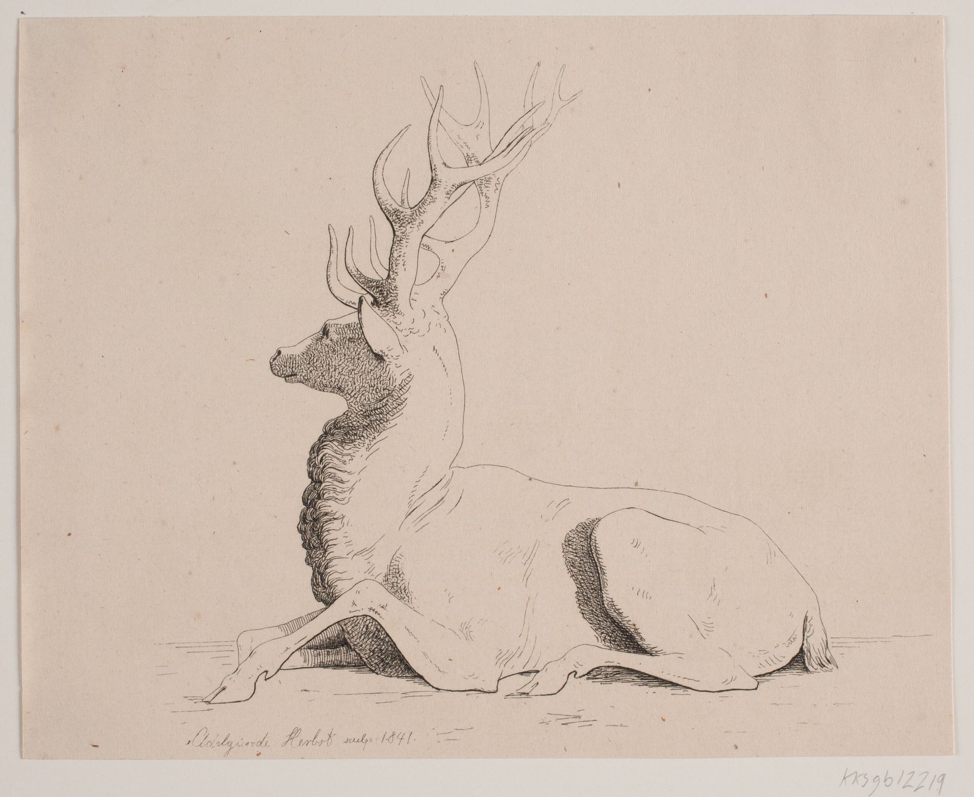 Liggende hjort by Georg Emil Libert