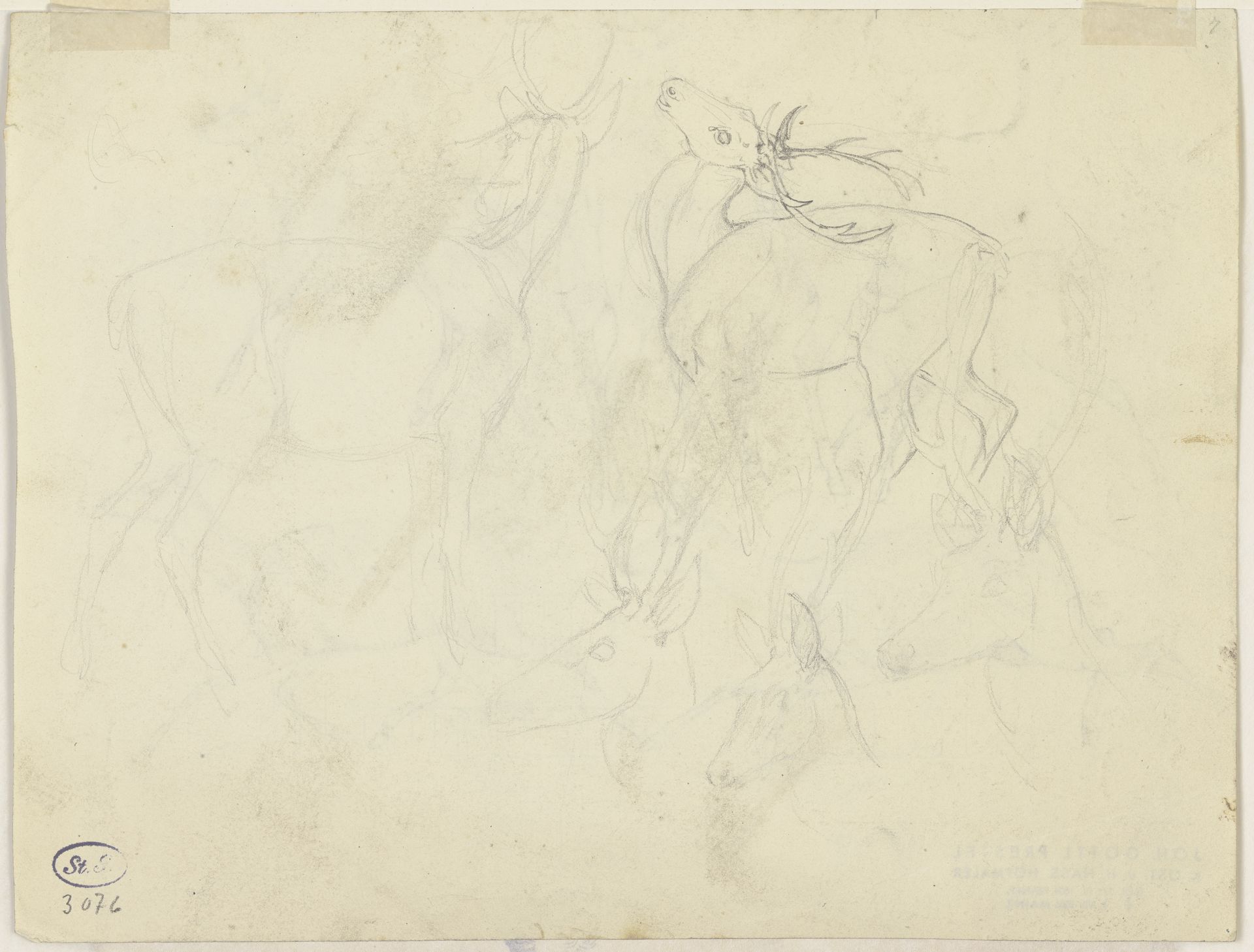 Study sheet_ deer by Johann Erdmann Gottlieb Prestel