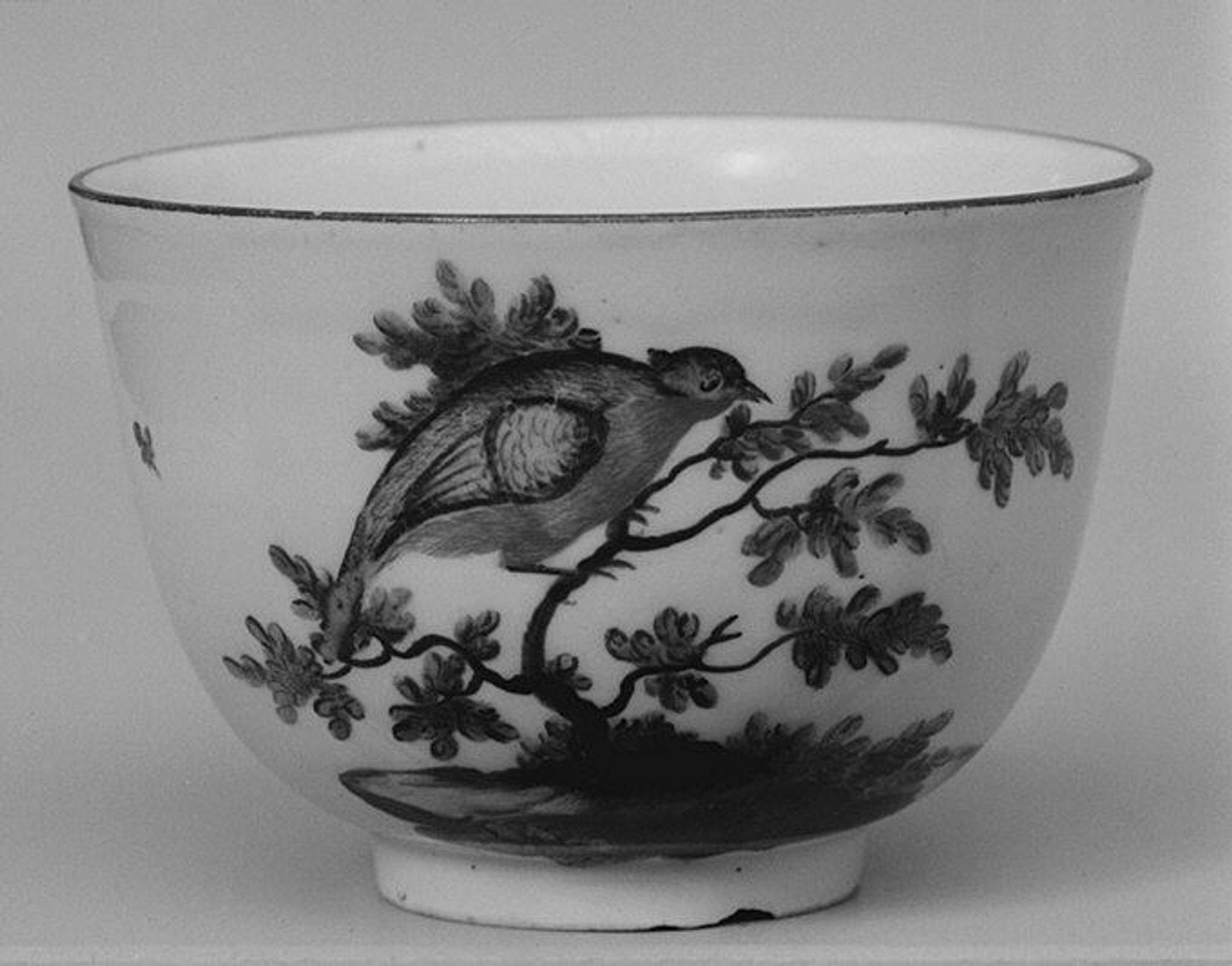 Cup (part of a service) by Frankenthal Porcelain Manufactory