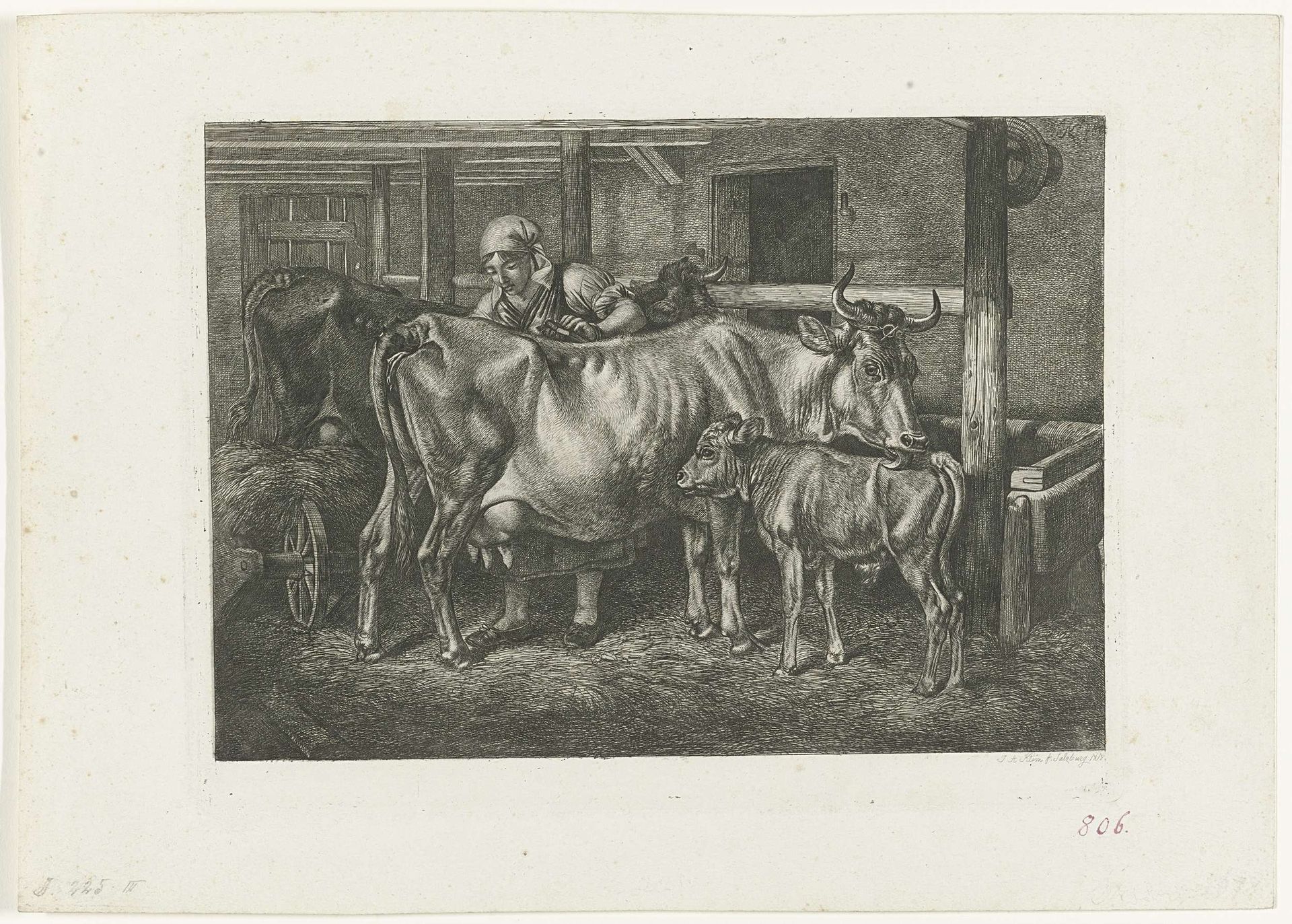 Stalknecht borstelt een koe die haar kalf wast by Johann Adam Klein