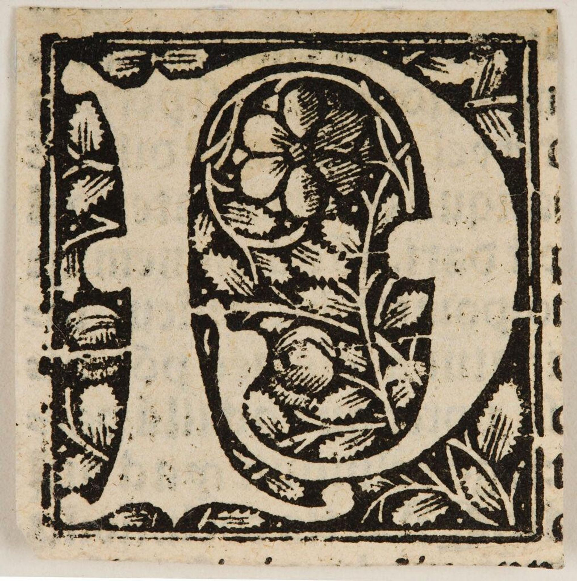 Initial N by Anonymous