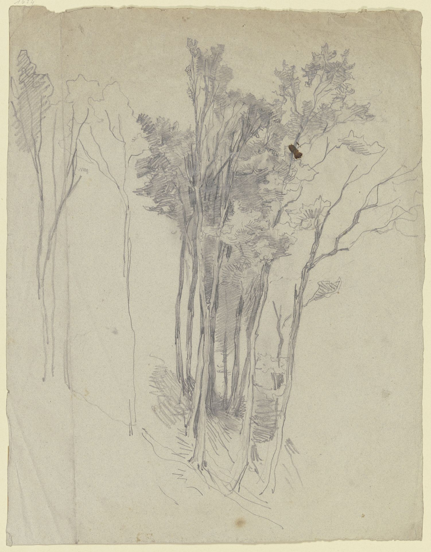 Group of leaf trees by Victor Müller
