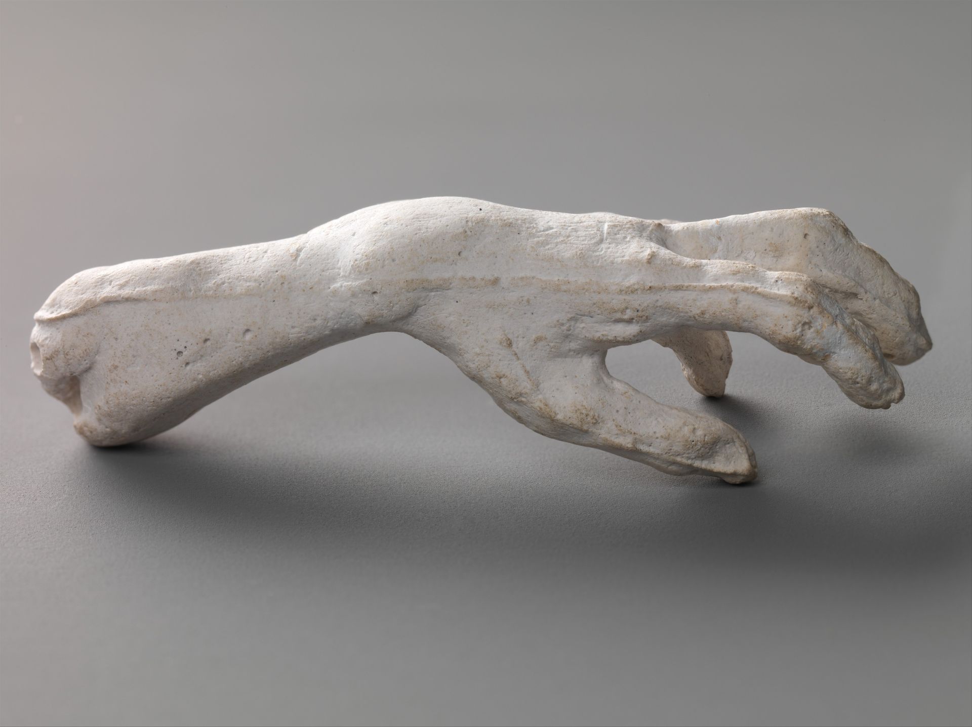 Study of a hand by Auguste Rodin