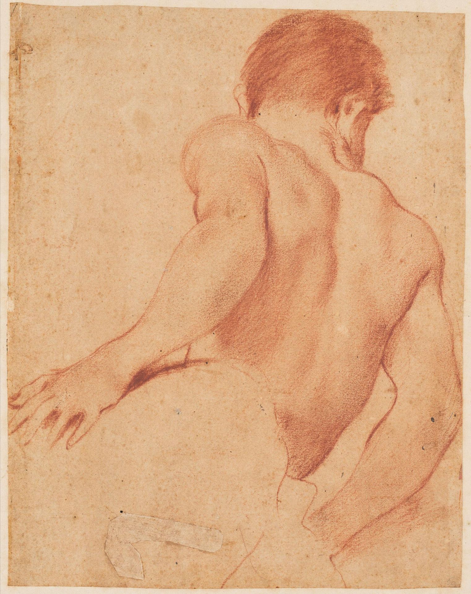 Nude Youth, Half Length with Back Turned by School of Annibale Carracci