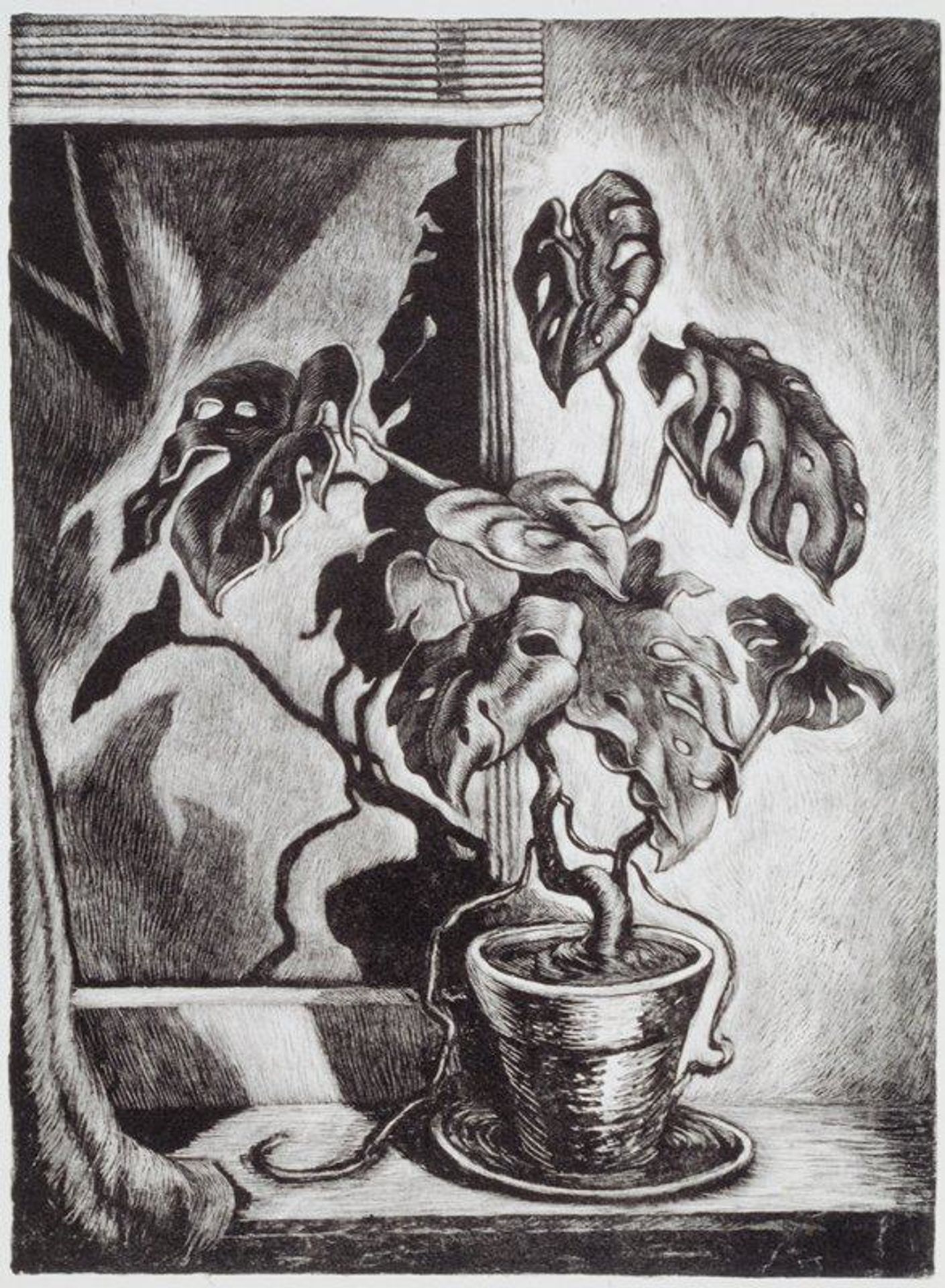 Philodendron by Wanda Gág