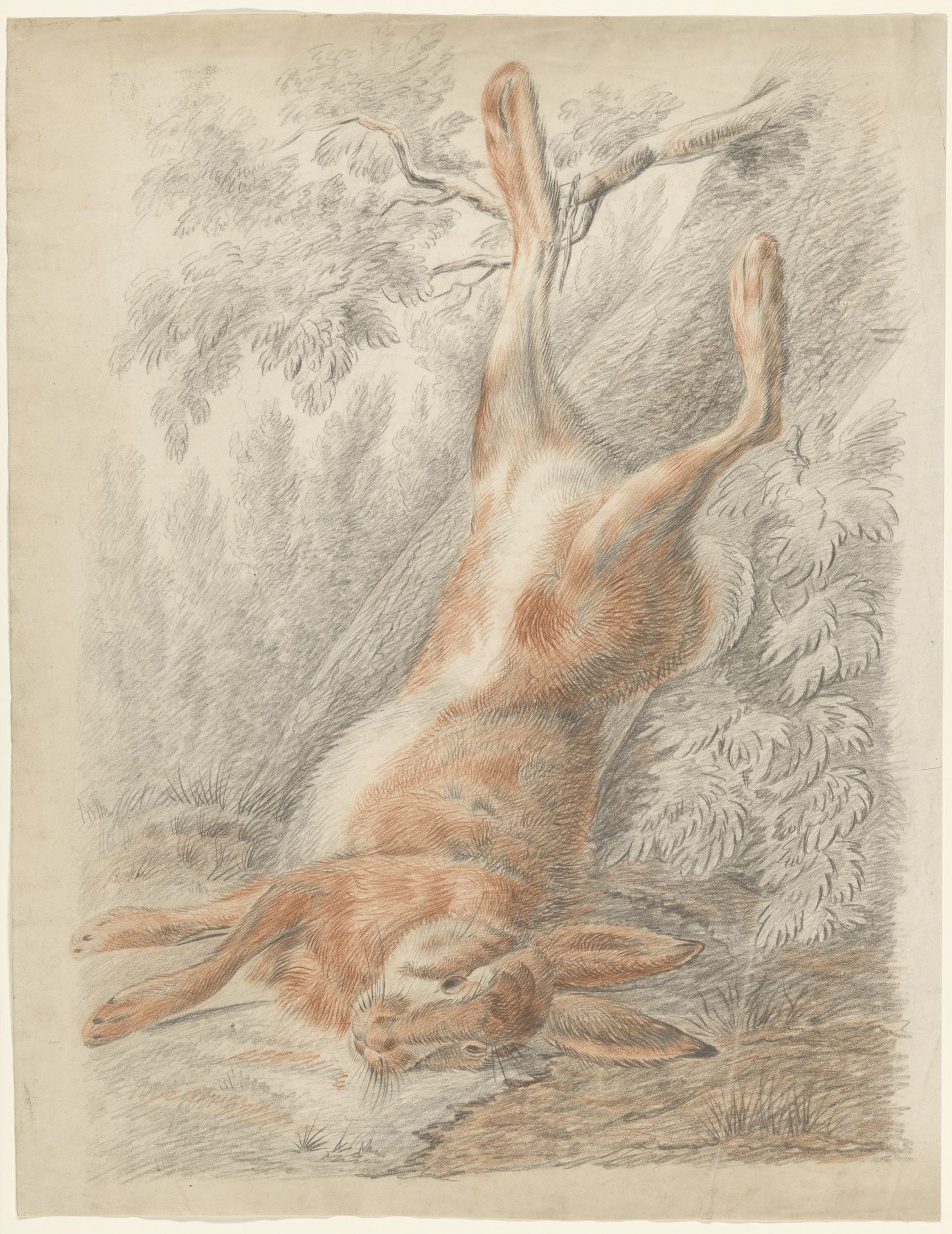 Dode haas, hangend aan een poot by Johannes Tavenraat