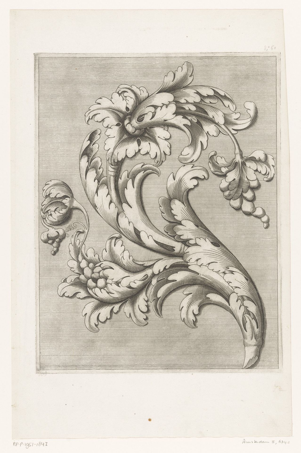Acanthusmotief by Cesare Domenichi