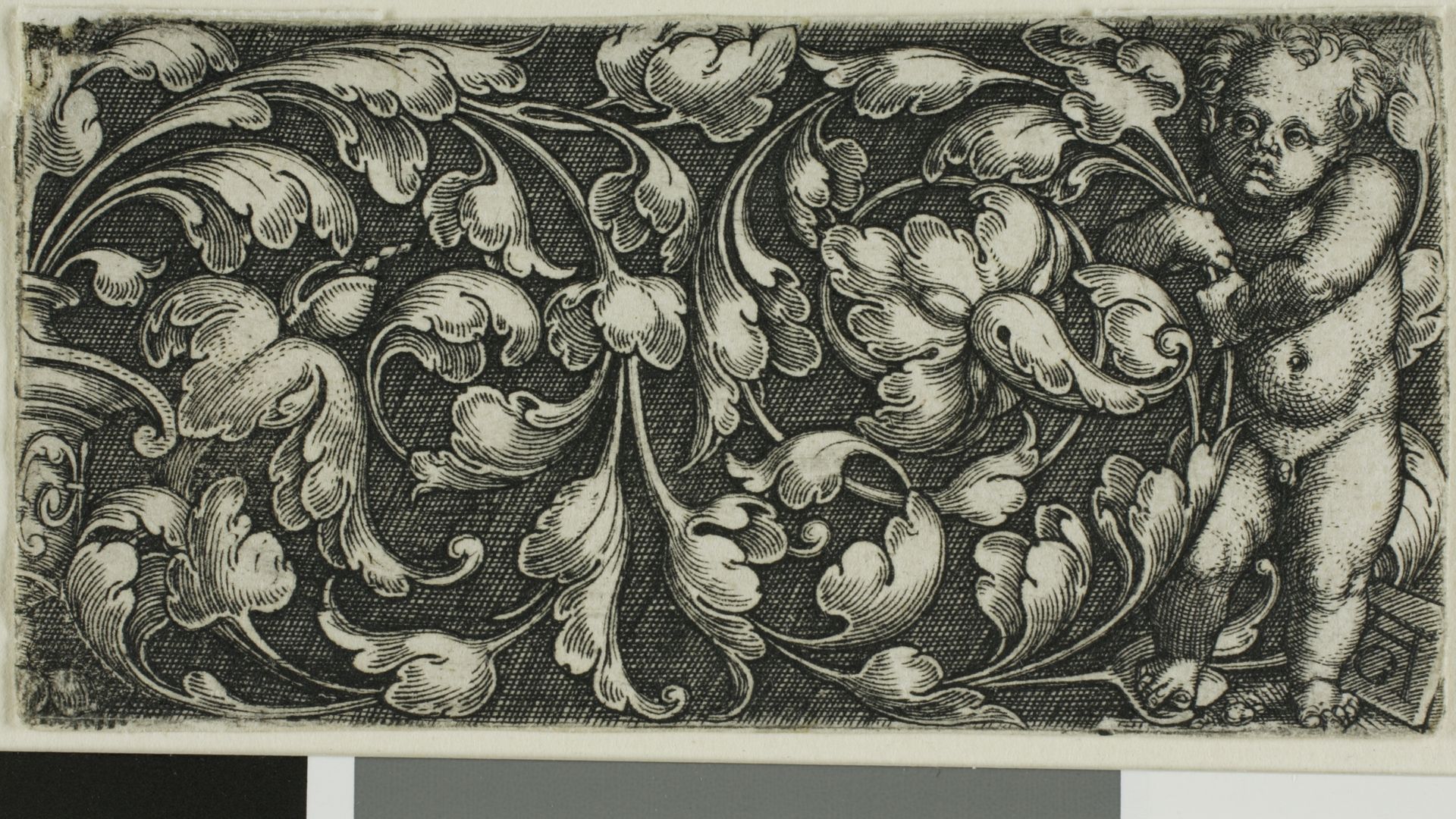 A Double Scroll of Leaf Ornament with a Putto Standing at the Right by Heinrich Aldegrever