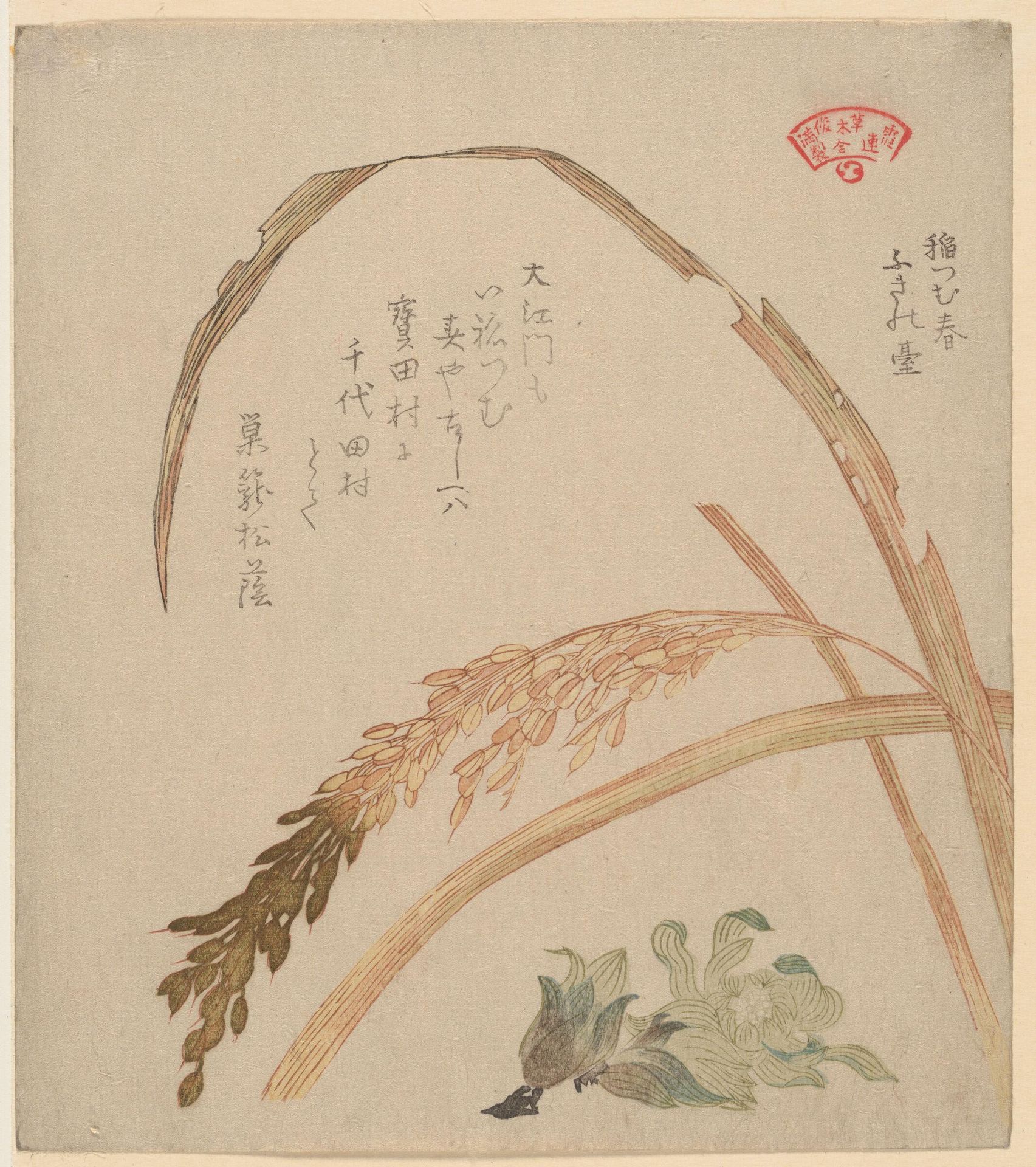 Rice Plant (Ine) and Butterbur (Fukinodai), from the series An Array of Plants for the Kasumi Circle (Kasumi-ren soÌmoku awase) by Kubo Shunman