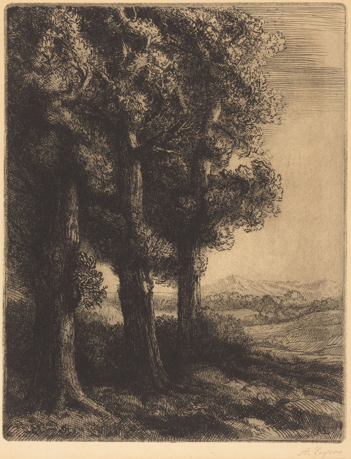 Corner of a Wood (Coin d'un bois) by Alphonse Legros
