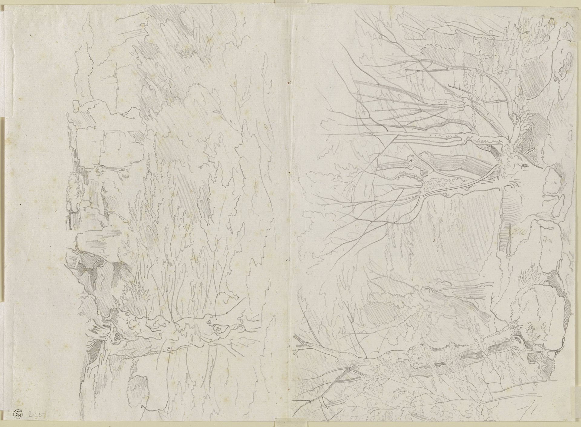 Zwei Landschaften, Waldinneres mit Geröll, Weiden und anderen Bäumen by Carl Philipp Fohr