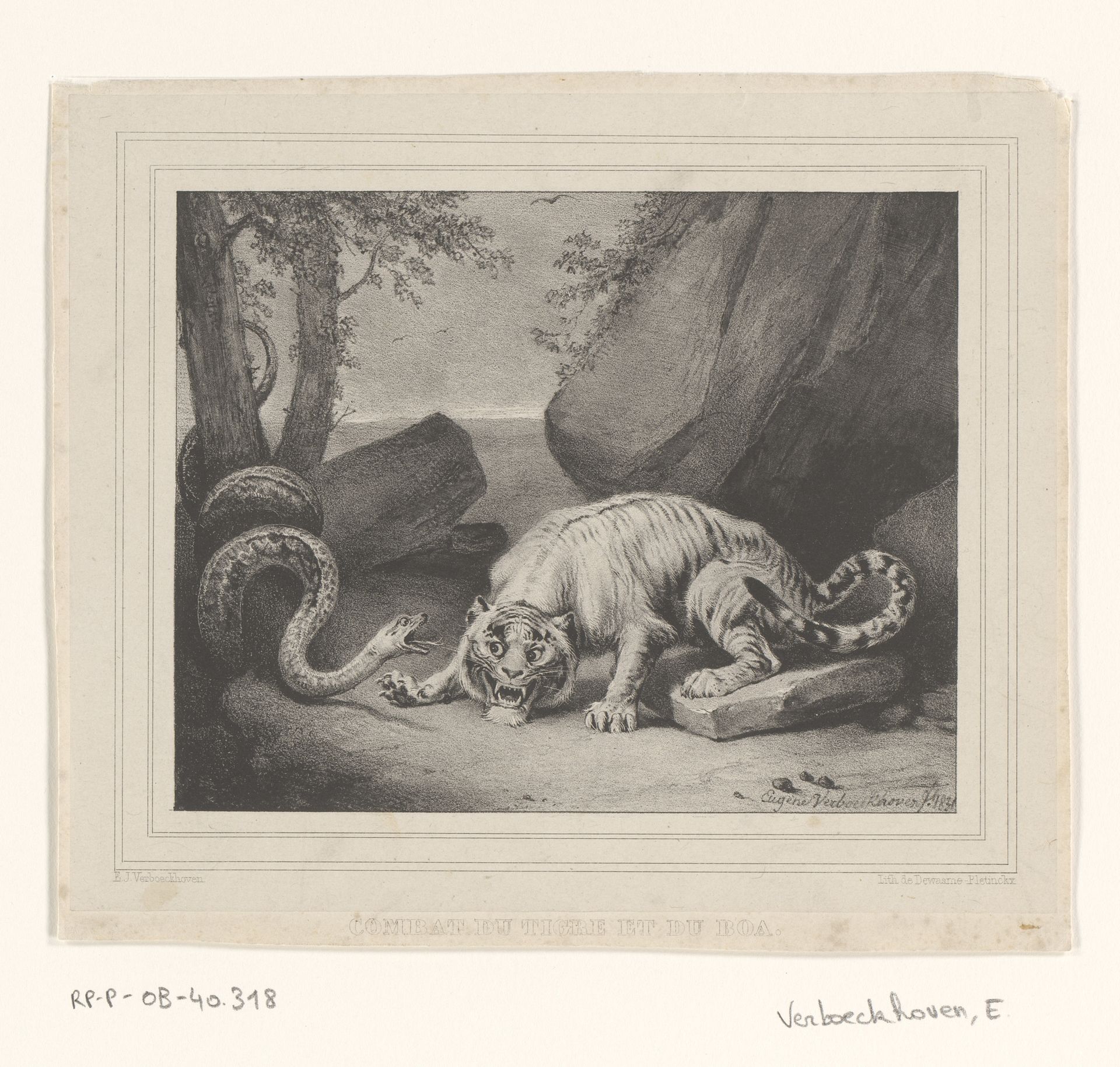 Gevecht tussen tijger en boa by Eugène Verboeckhoven