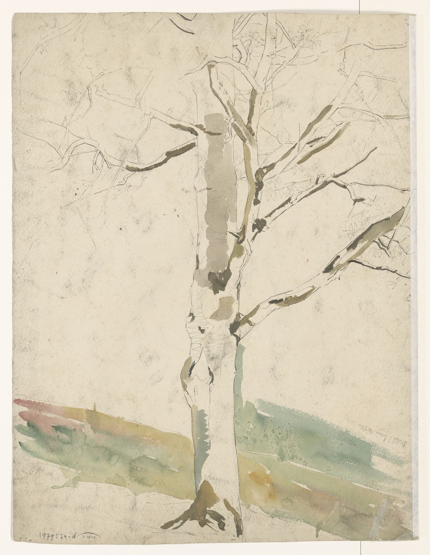 Studie van een boom by Coba Steenhoff