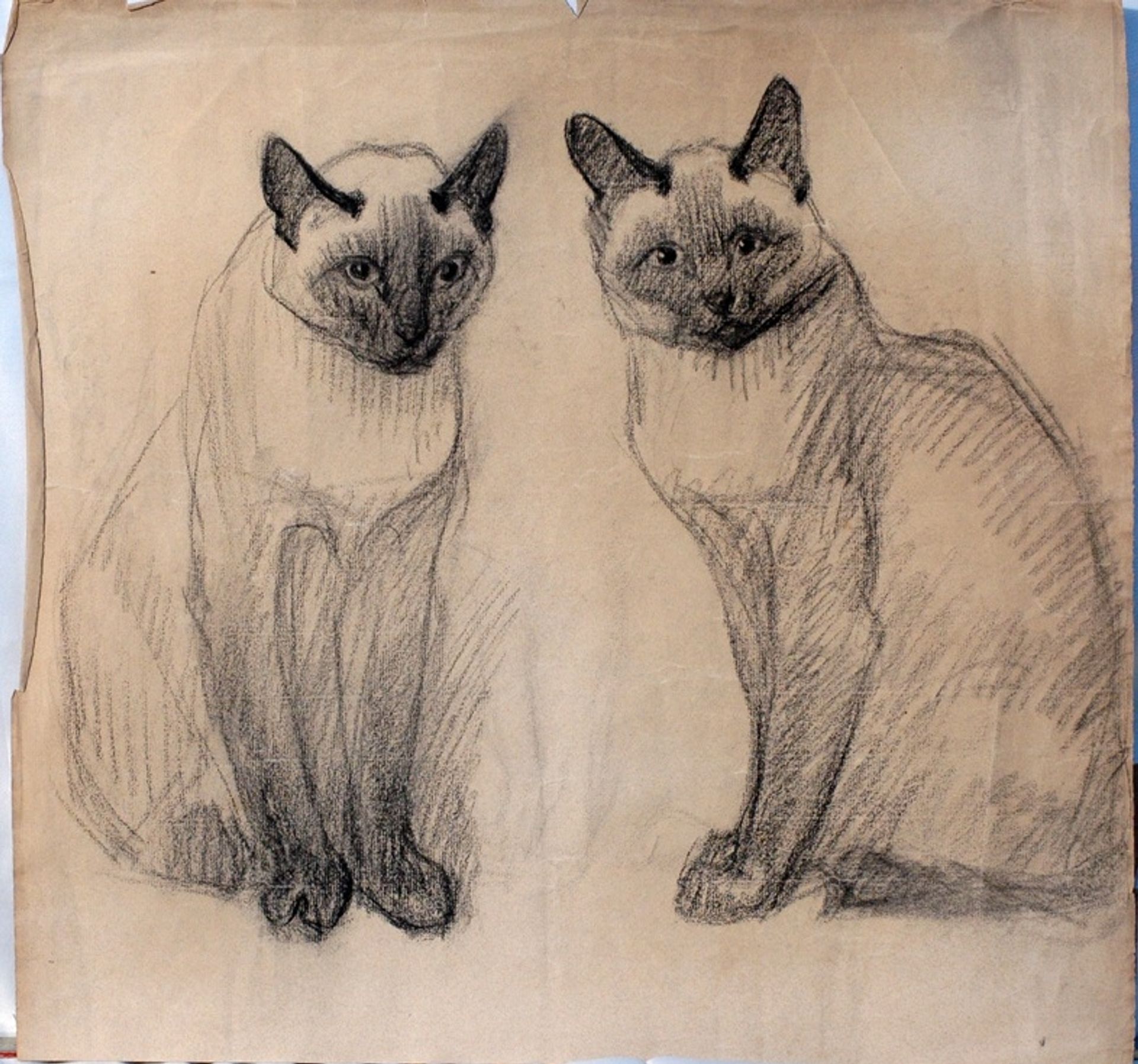 Two Siamese cats by Théophile Alexandre Steinlen