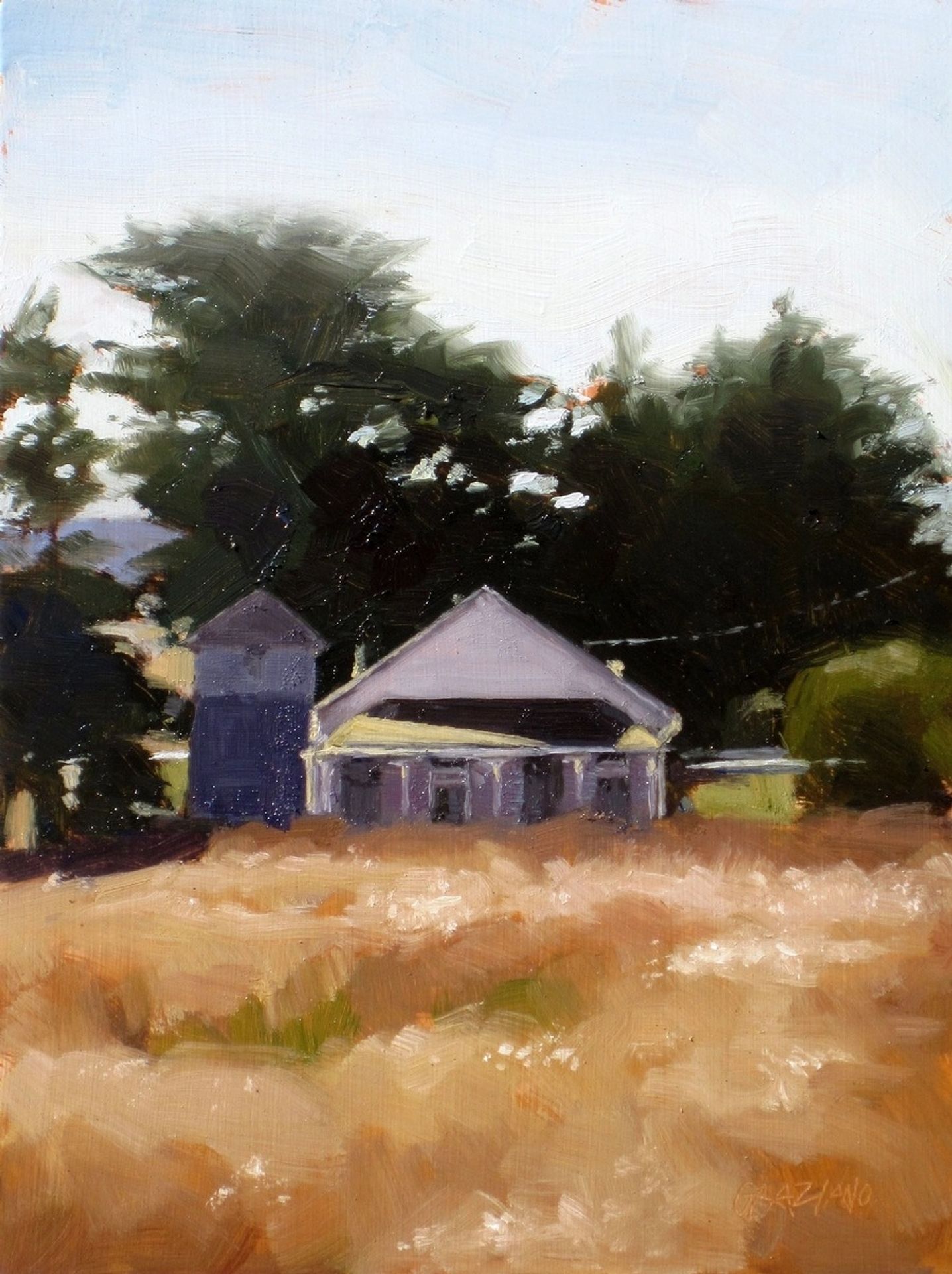 Across The Field by Dan Graziano