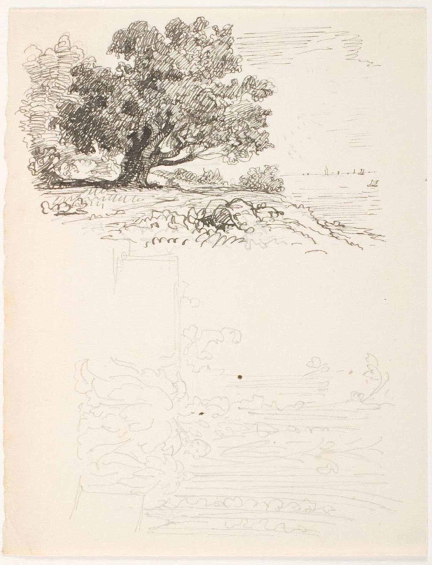 F.o et egetræ. F.n. træer og planter. Illustrationsudkast til H.C. Andersen, Det gamle egetræs drøm by Lorenz Frølich