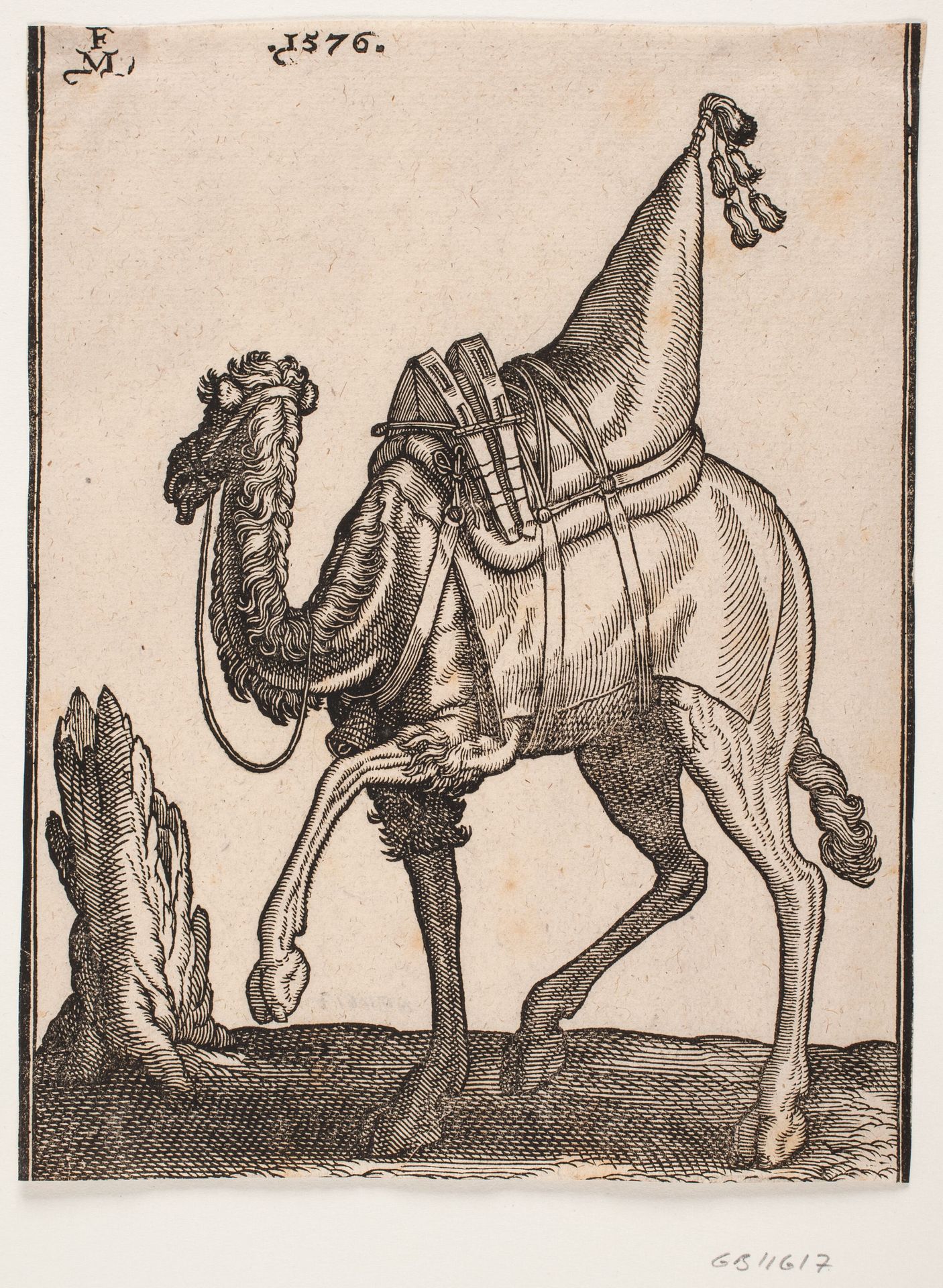 A saddled-up dromedary, profile towards the left, with the animal's head turned away from the wiever by Melchior Lorck
