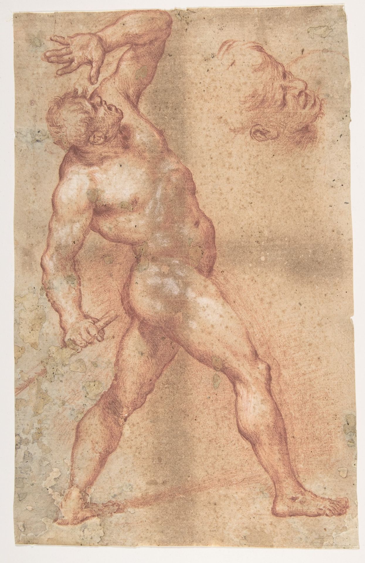 Male Nude with Left Arm Upraised, and a Further Study of His Head by Aniello Falcone